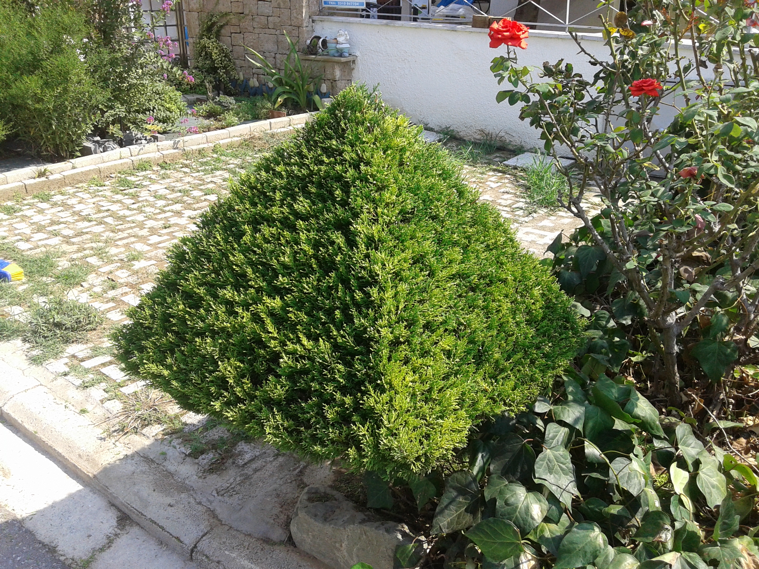 20140914_123036.jpg