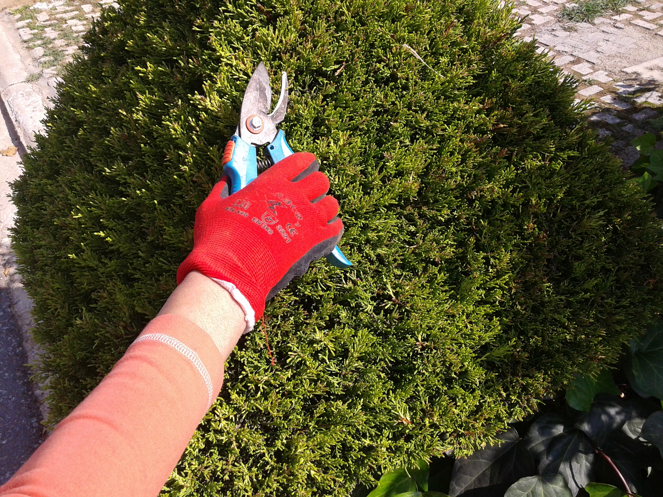 20141012_120455.jpg