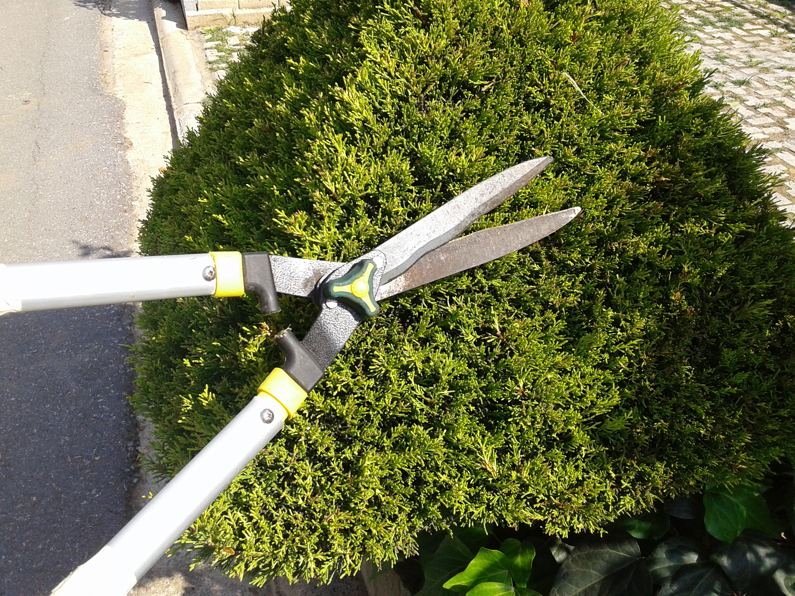 20141012_120507.jpg