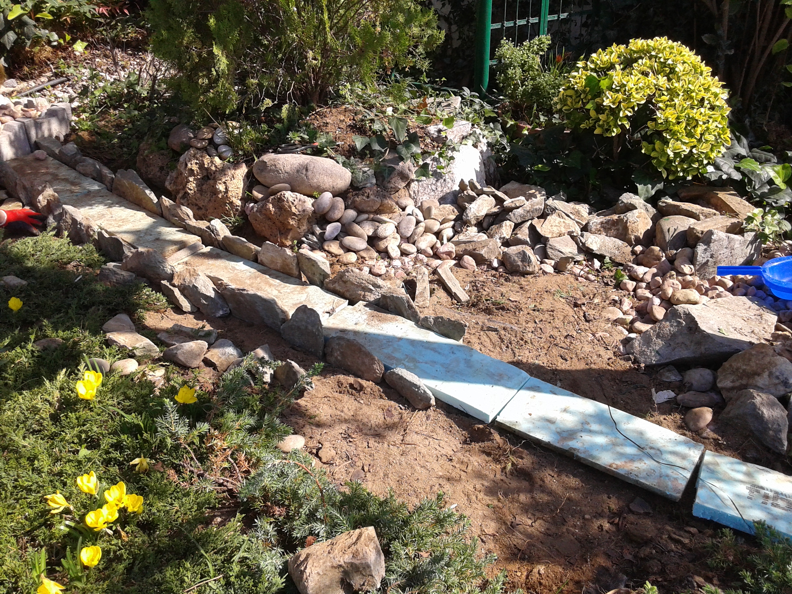 20141012_125213.jpg