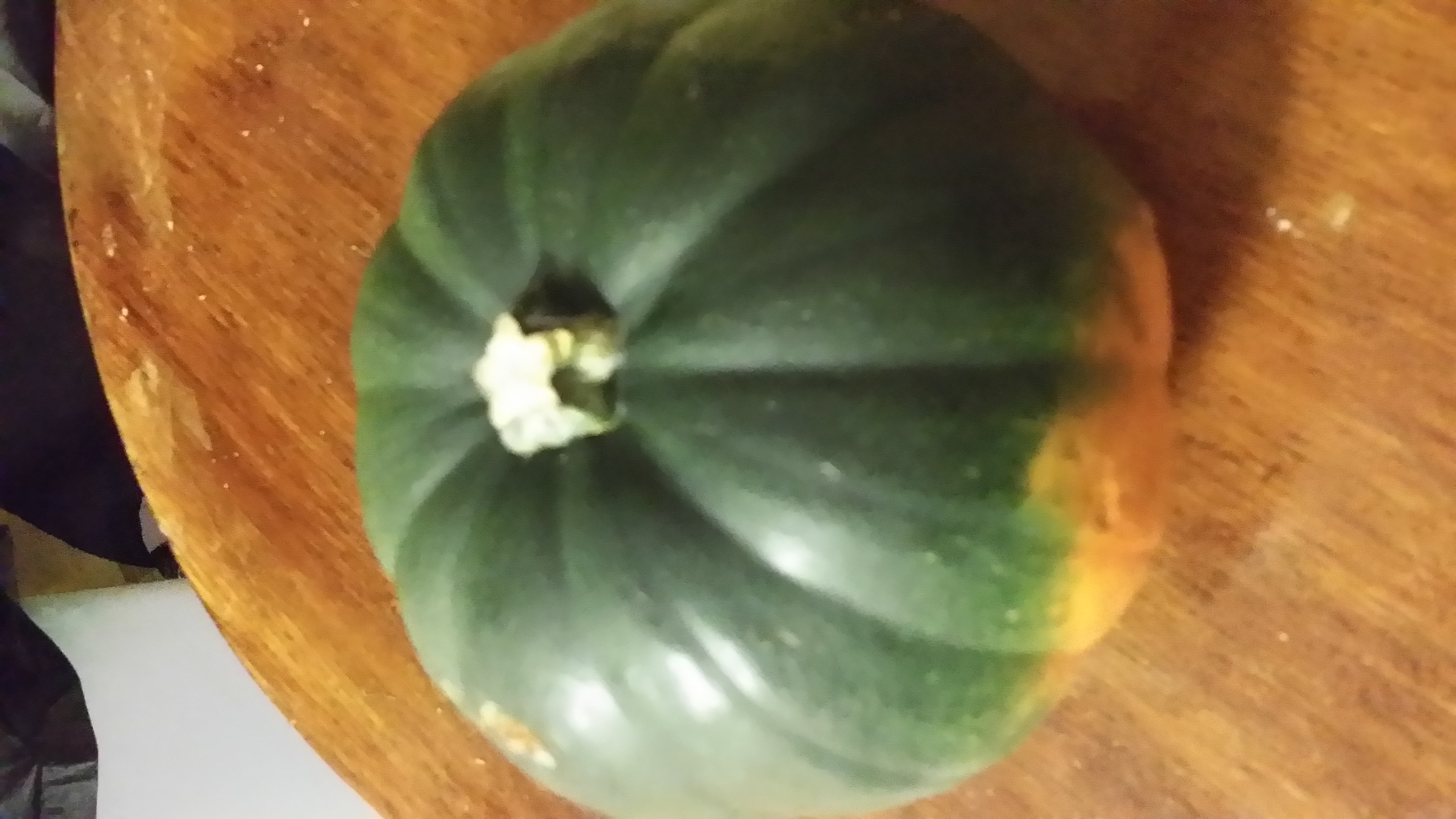 20141012_142819.jpg
