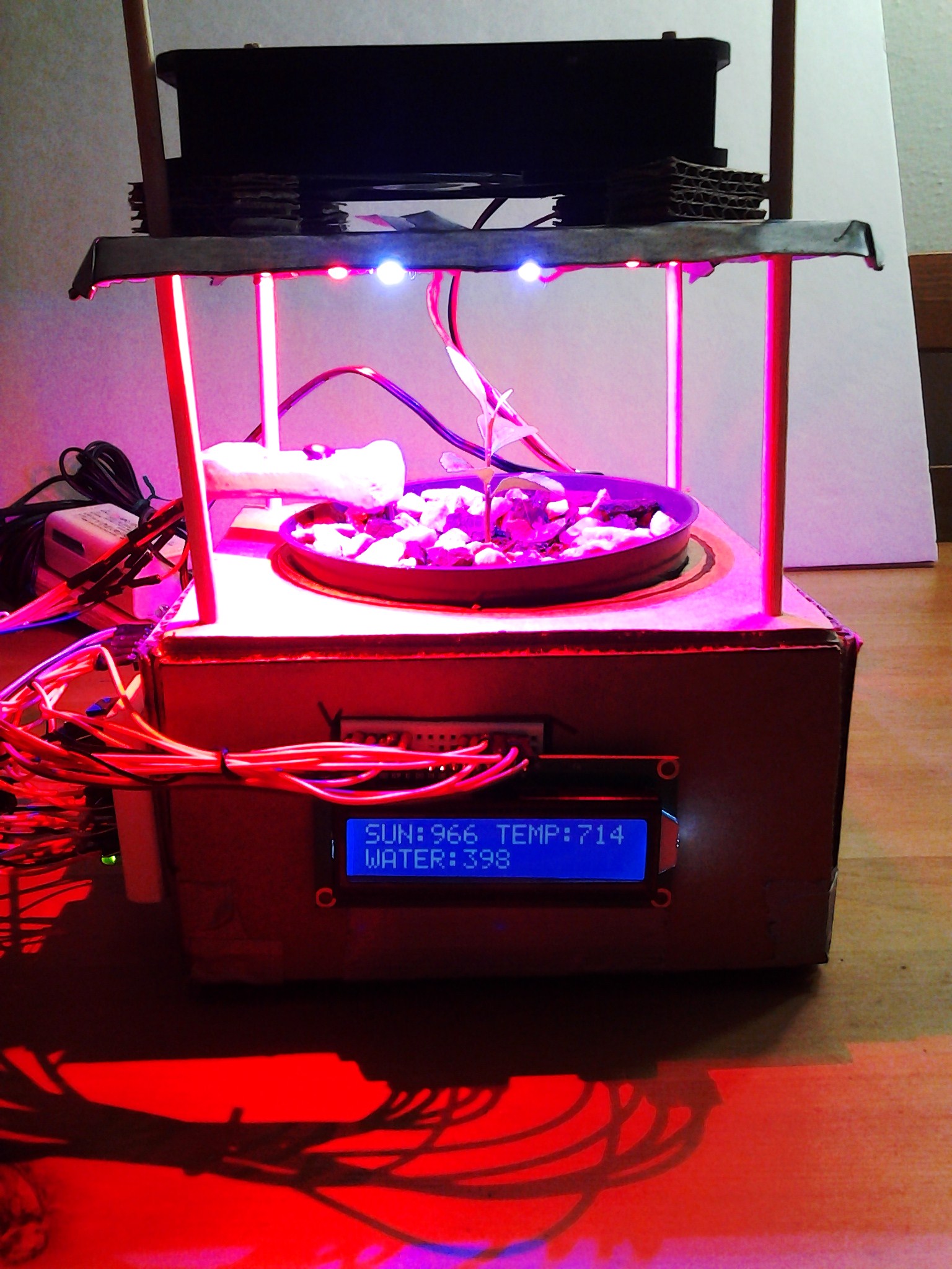 20141018_192037.jpg