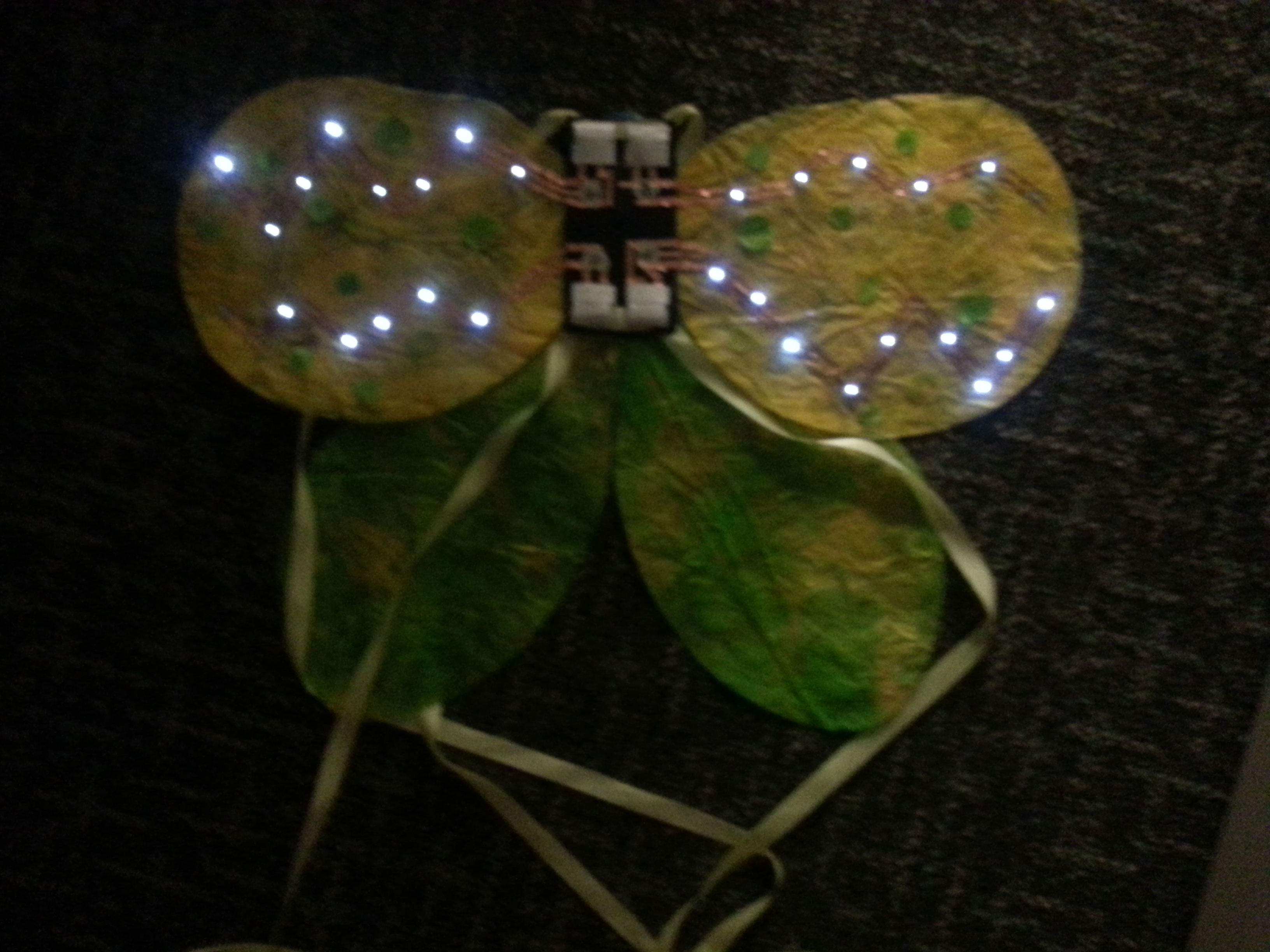 20141216_153138.jpg