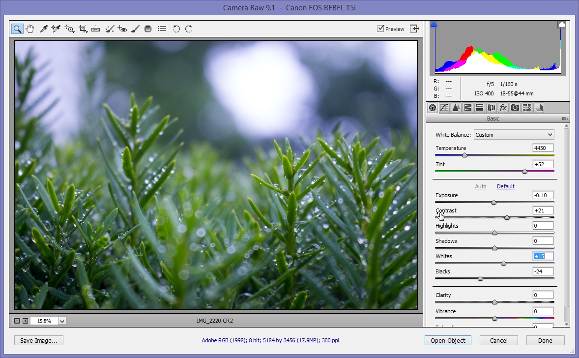 2015-06-28 12_15_17-Camera Raw 9.1  -  Canon EOS REBEL T5i.jpg