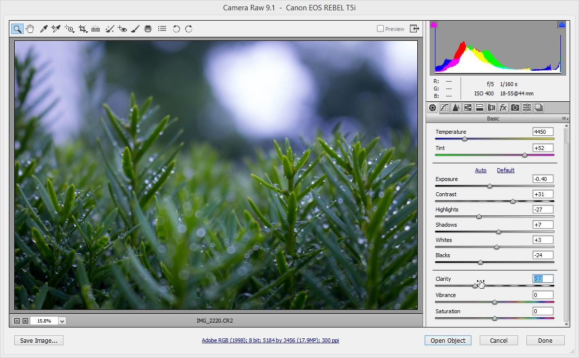 2015-06-28 12_17_12-Camera Raw 9.1  -  Canon EOS REBEL T5i.jpg