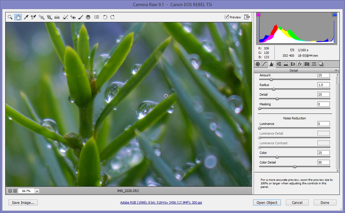 2015-06-28 12_22_38-Camera Raw 9.1  -  Canon EOS REBEL T5i.jpg