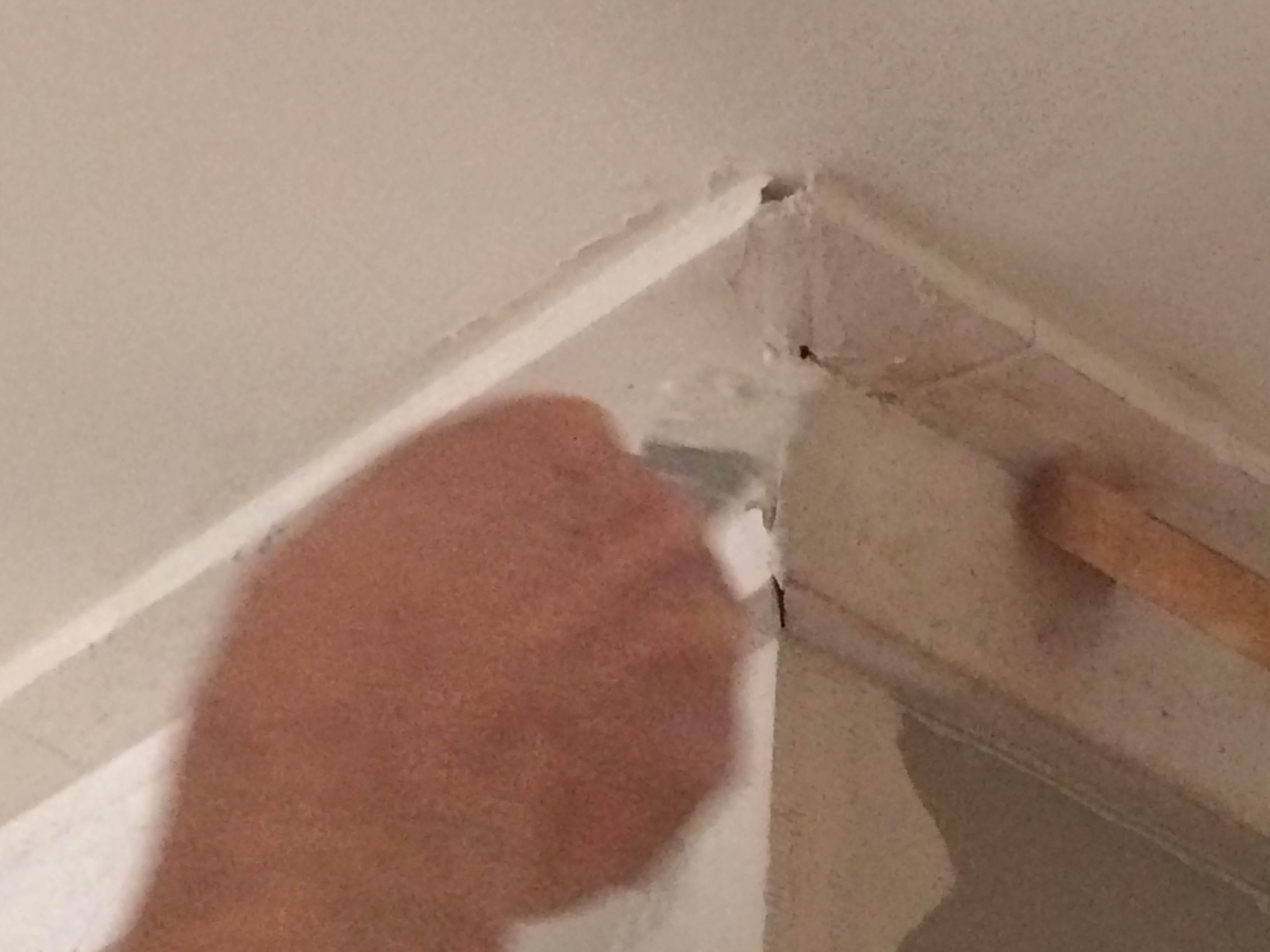 2015-09-06 17.14.55.jpg