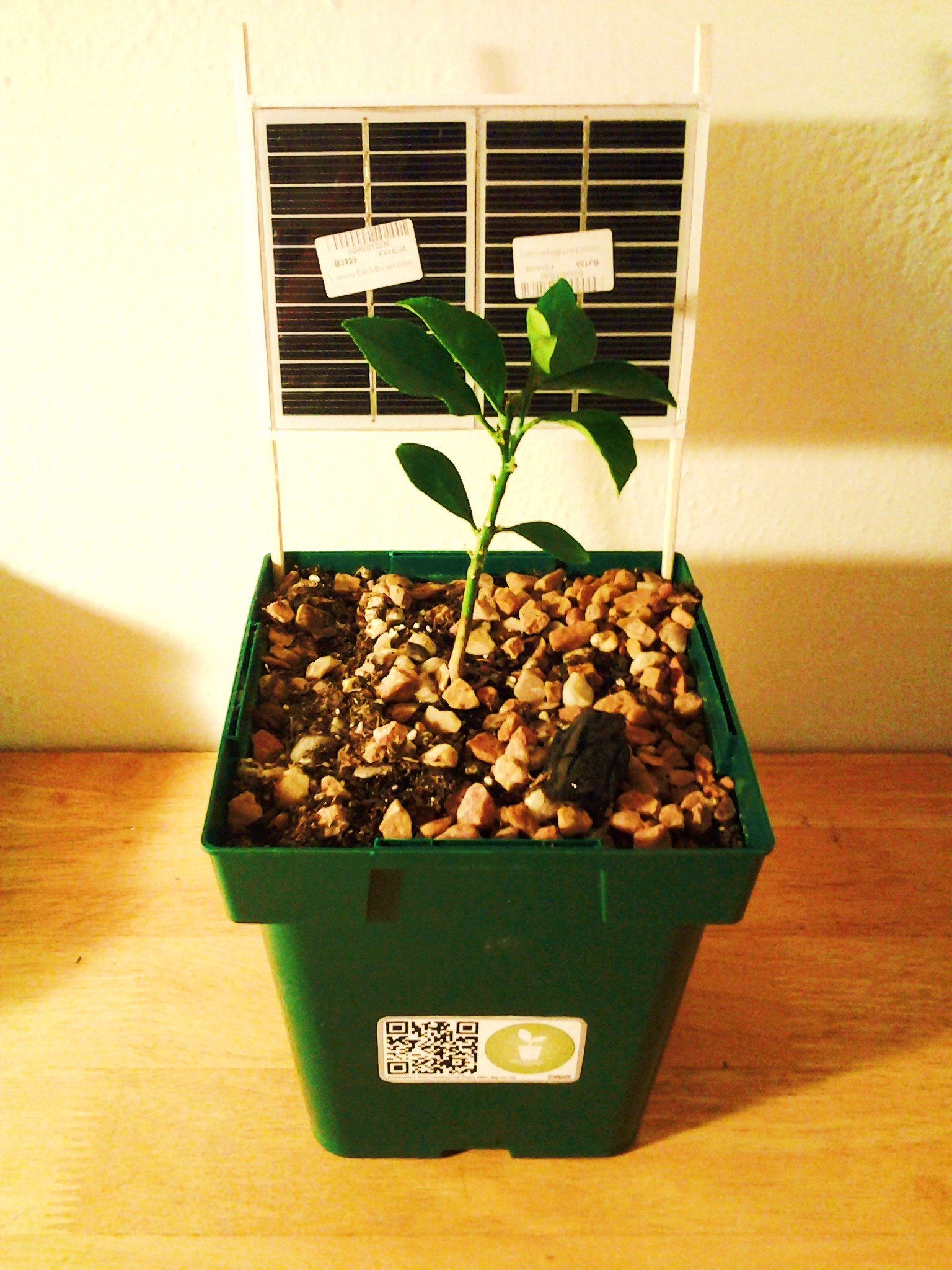 20150129_181734.jpg