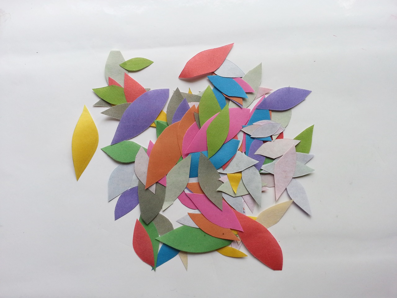 20150225_143405.jpg