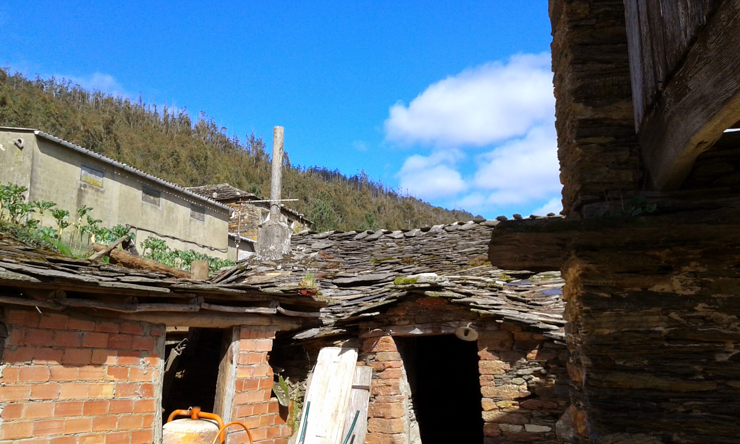 20150313_141518.jpg