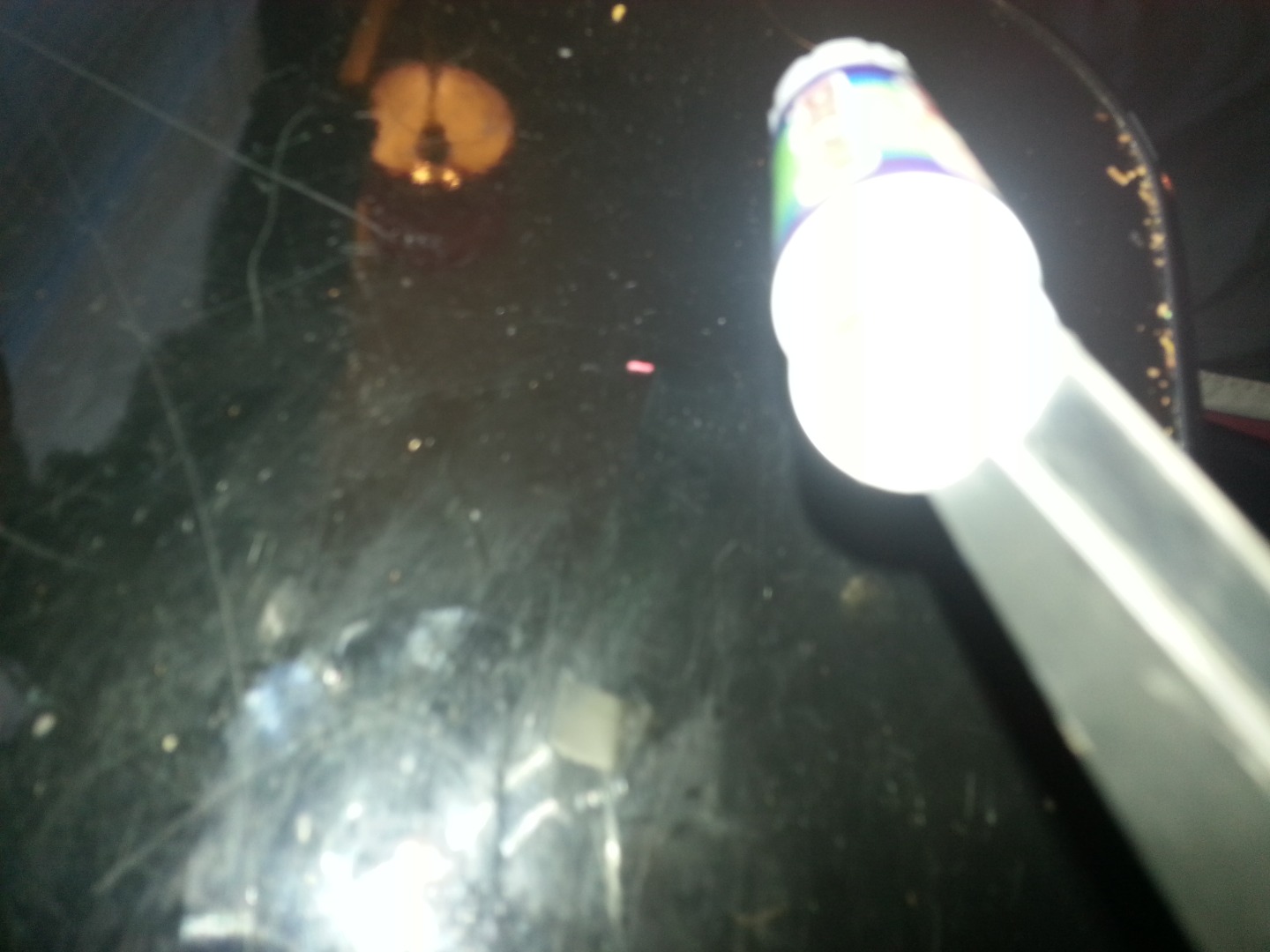 20150330_101802.jpg