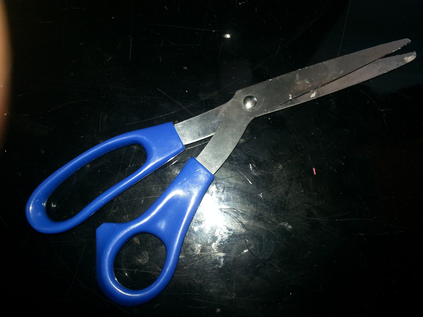 20150330_101808.jpg