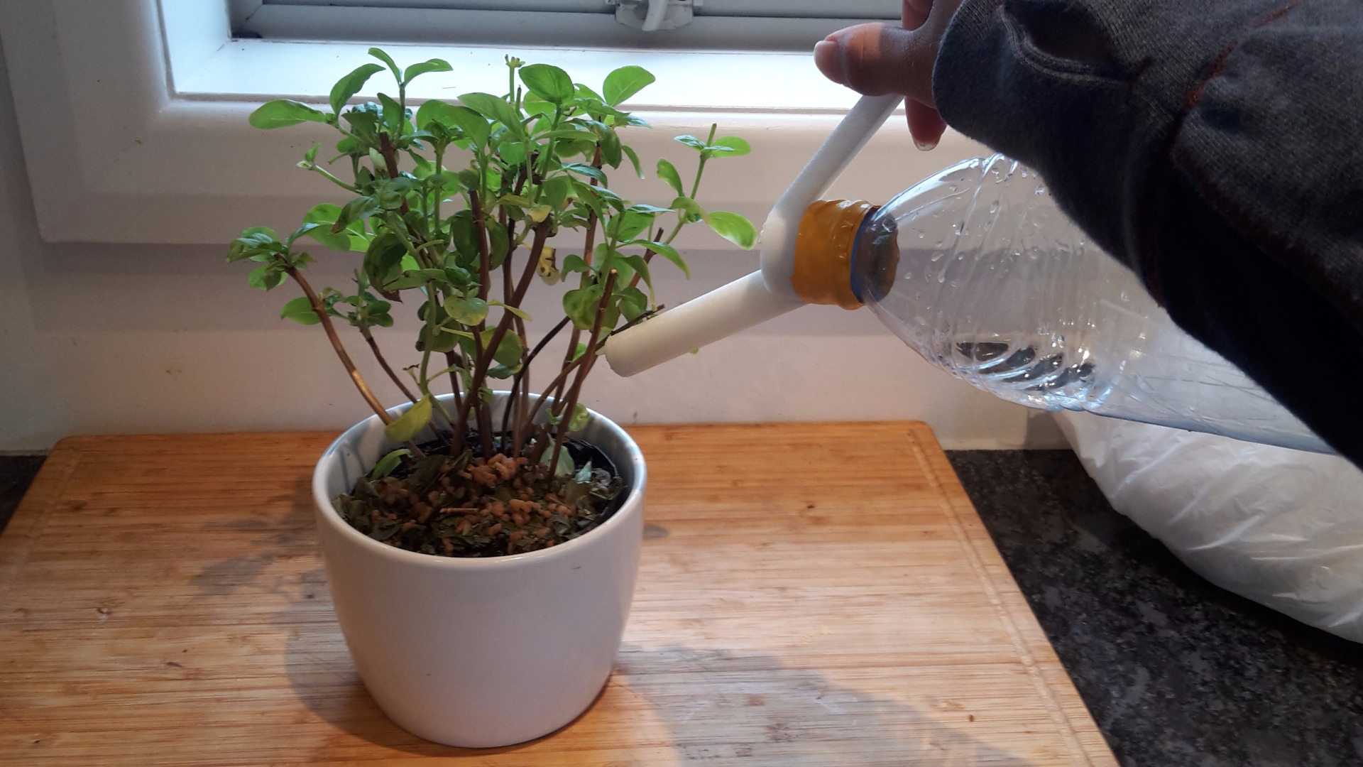 20150415_162328.jpg