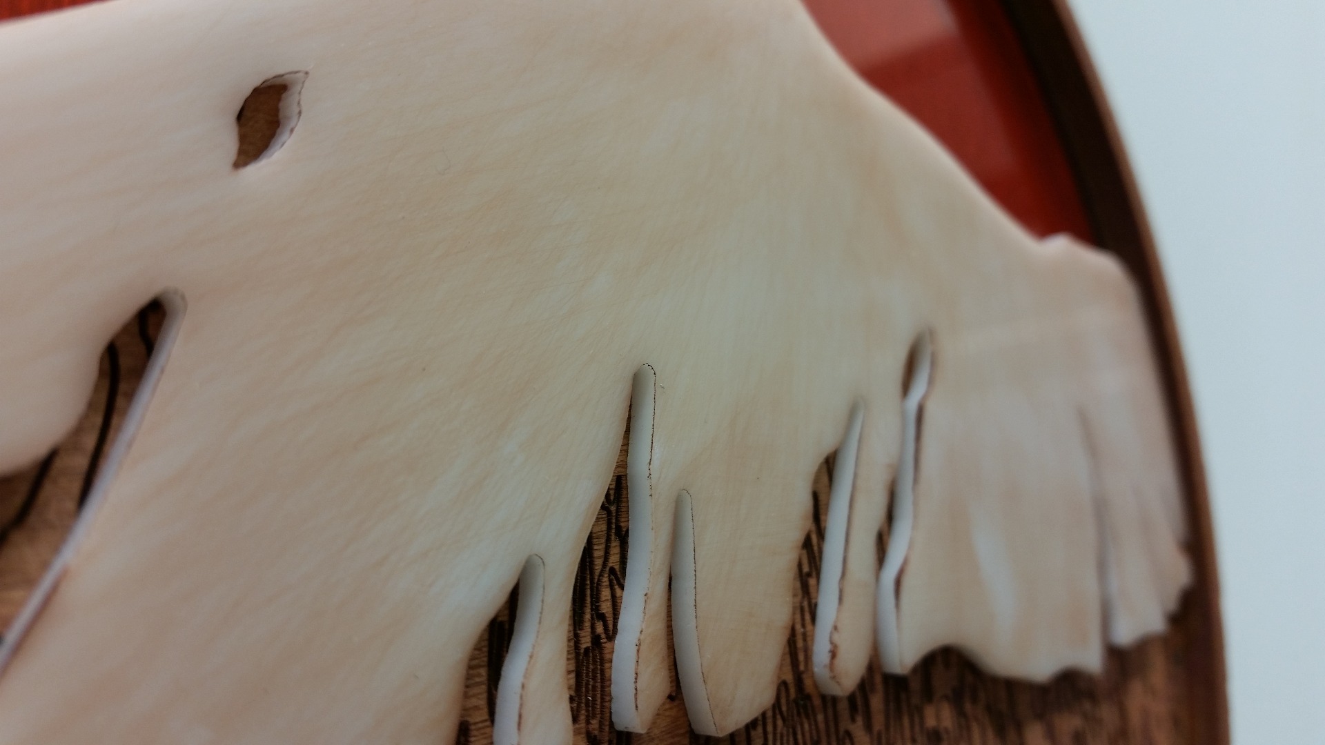 20150430_095250.jpg