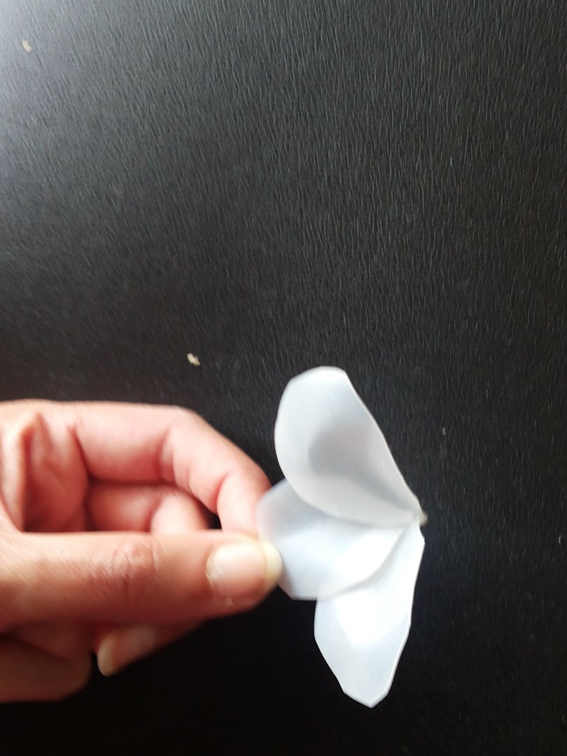 20150512_141542.jpg