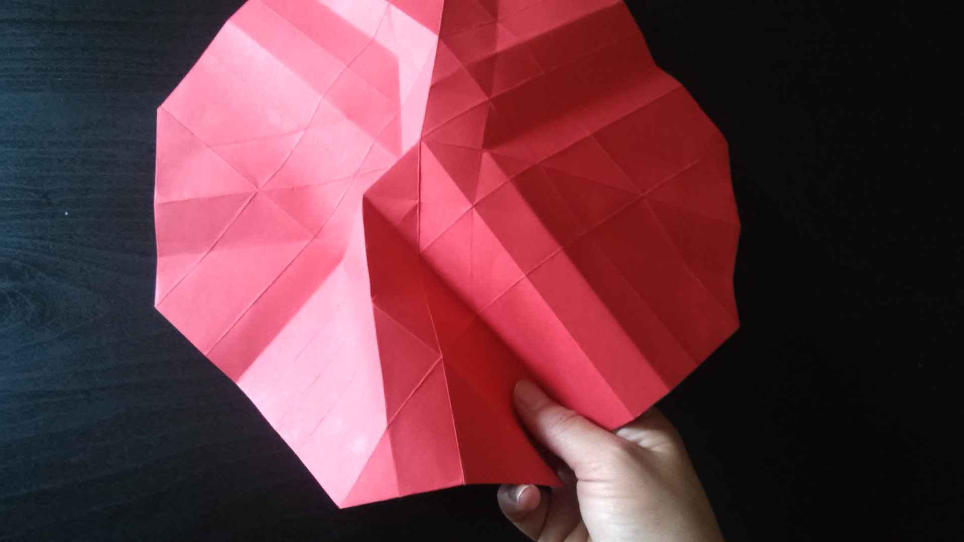 20150725_133422.jpg