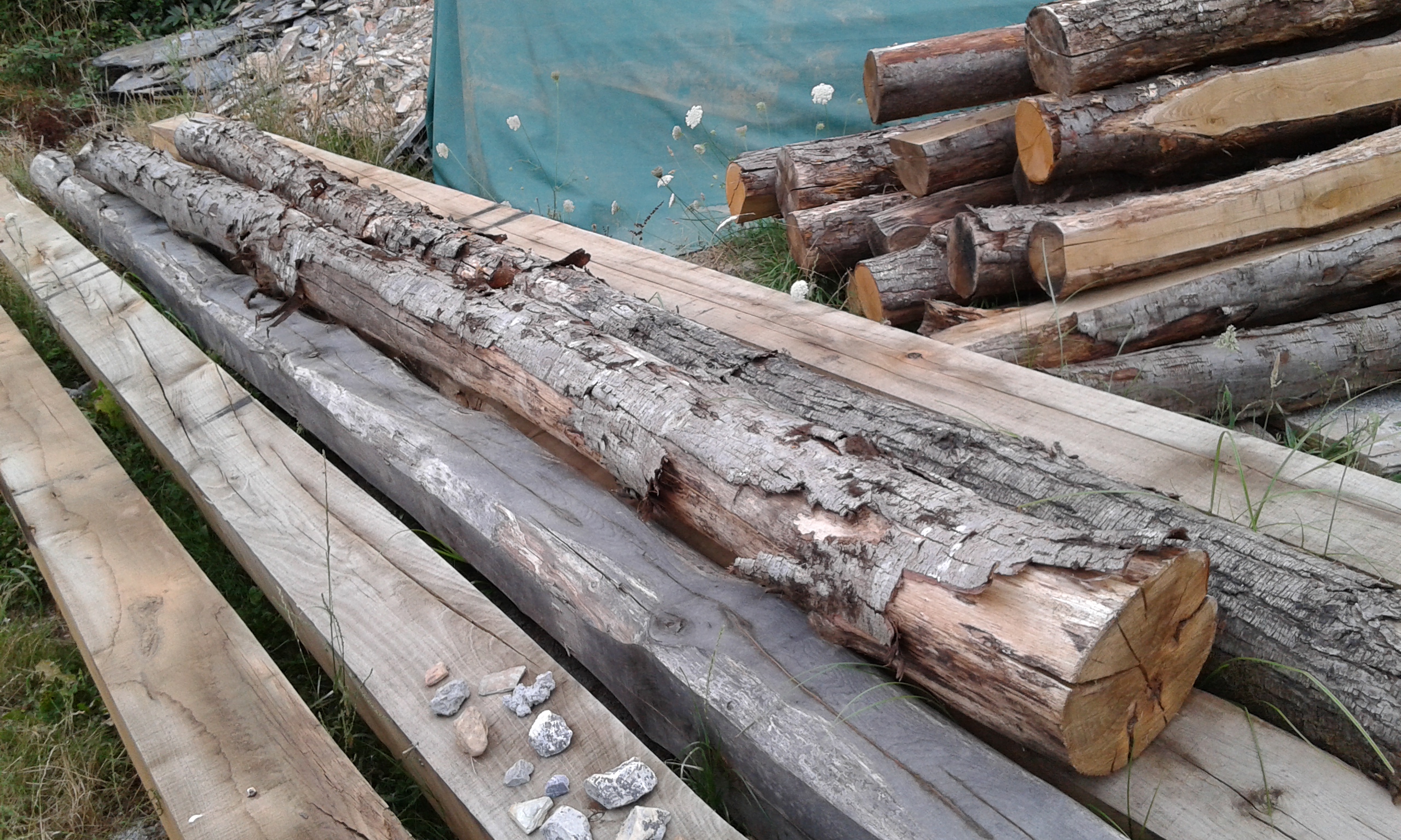 20150806_203252.jpg
