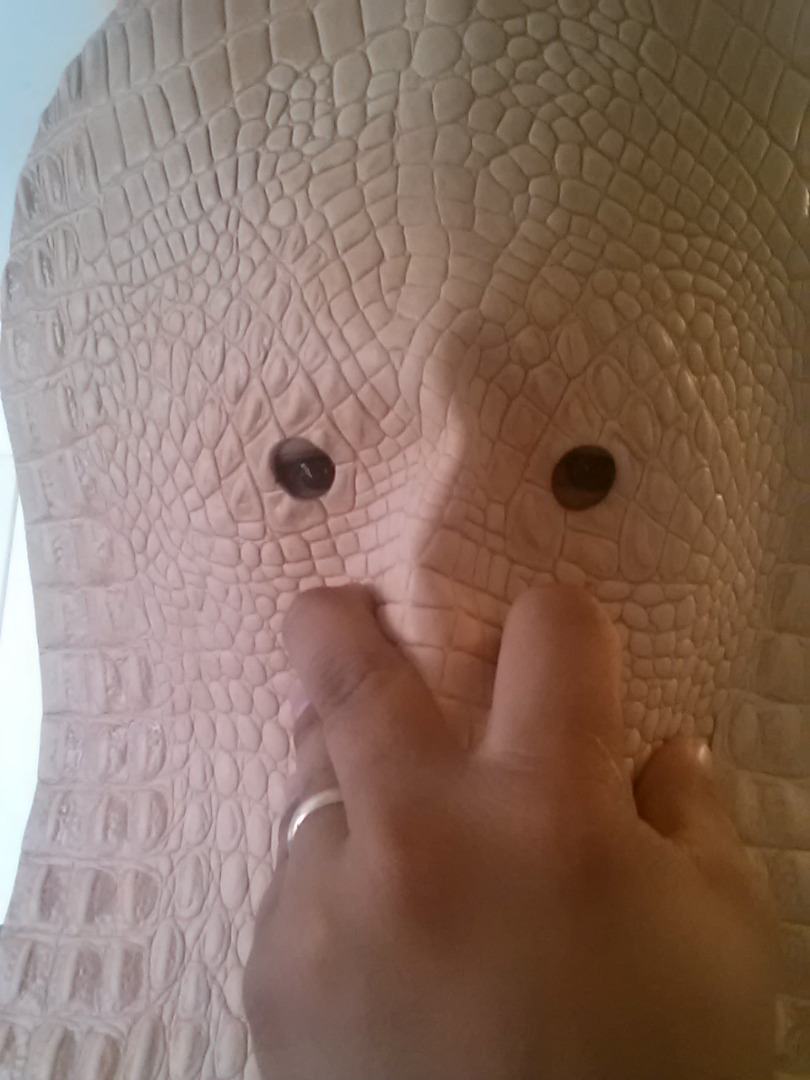 20150812_113141.jpg