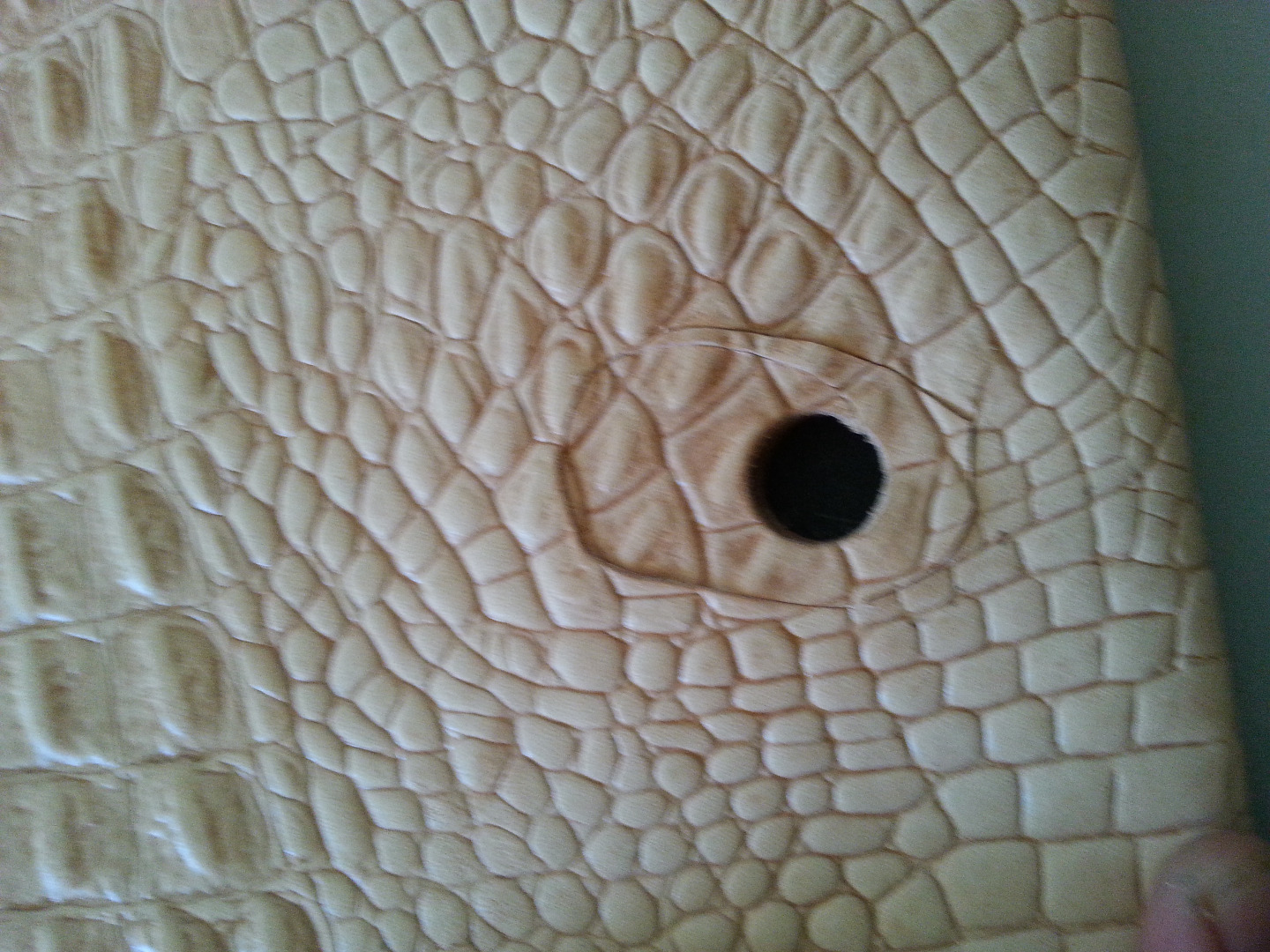 20150812_113548.jpg