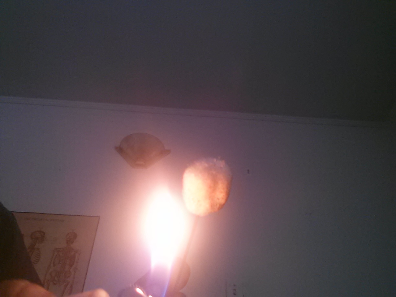 20150812_144950.jpg