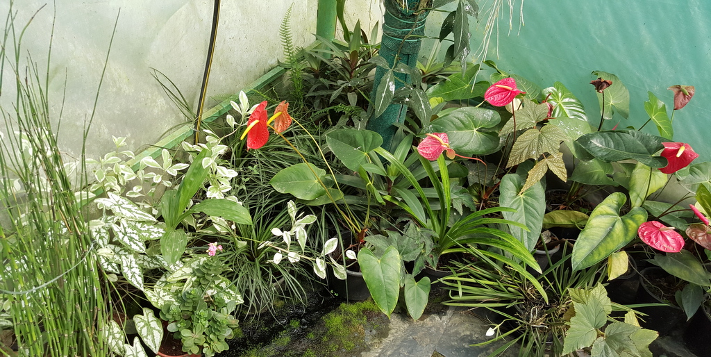 20151213_124539.jpg