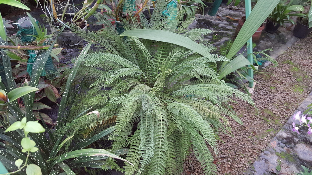 20151213_130244.jpg