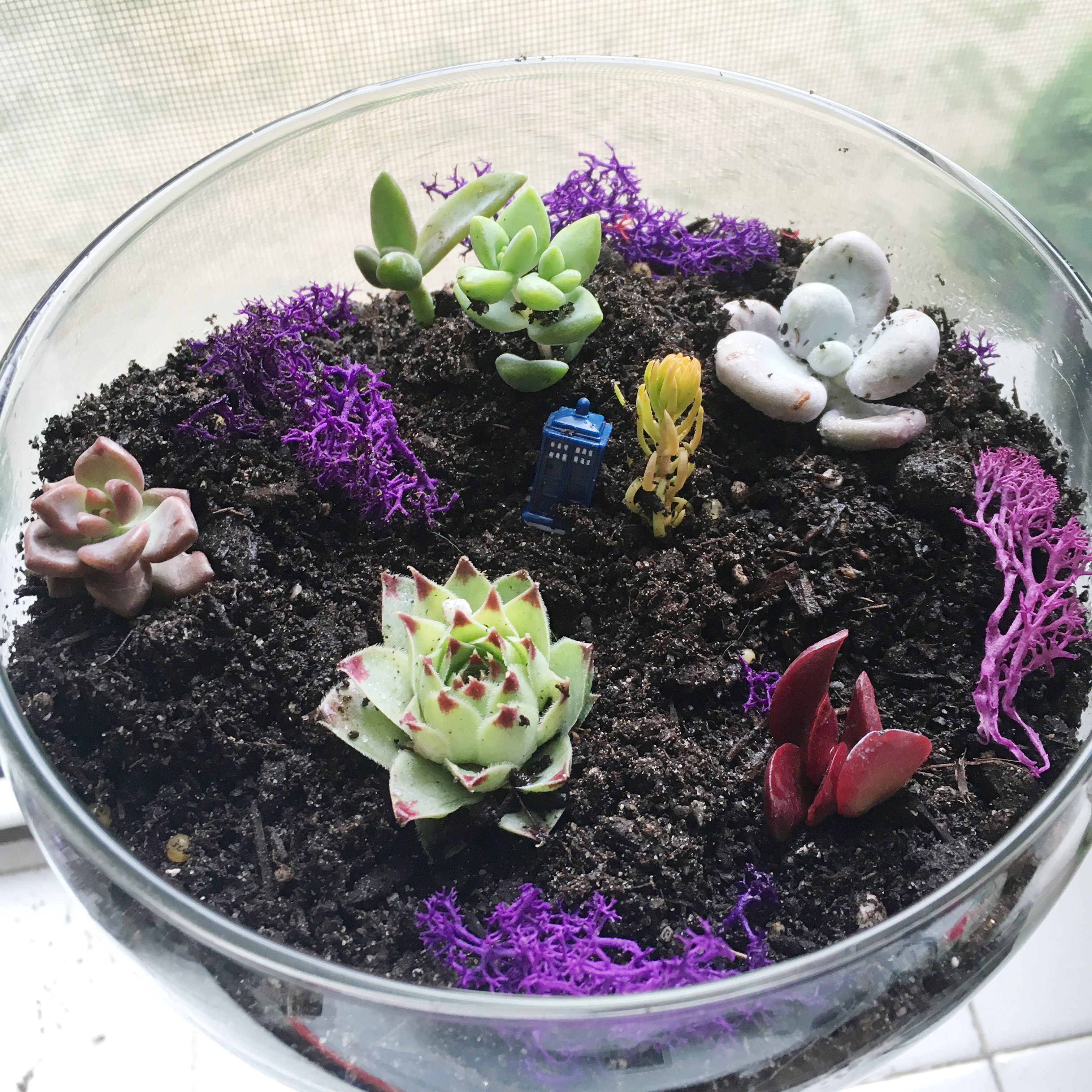 2016-07-30 18.20.30.jpg