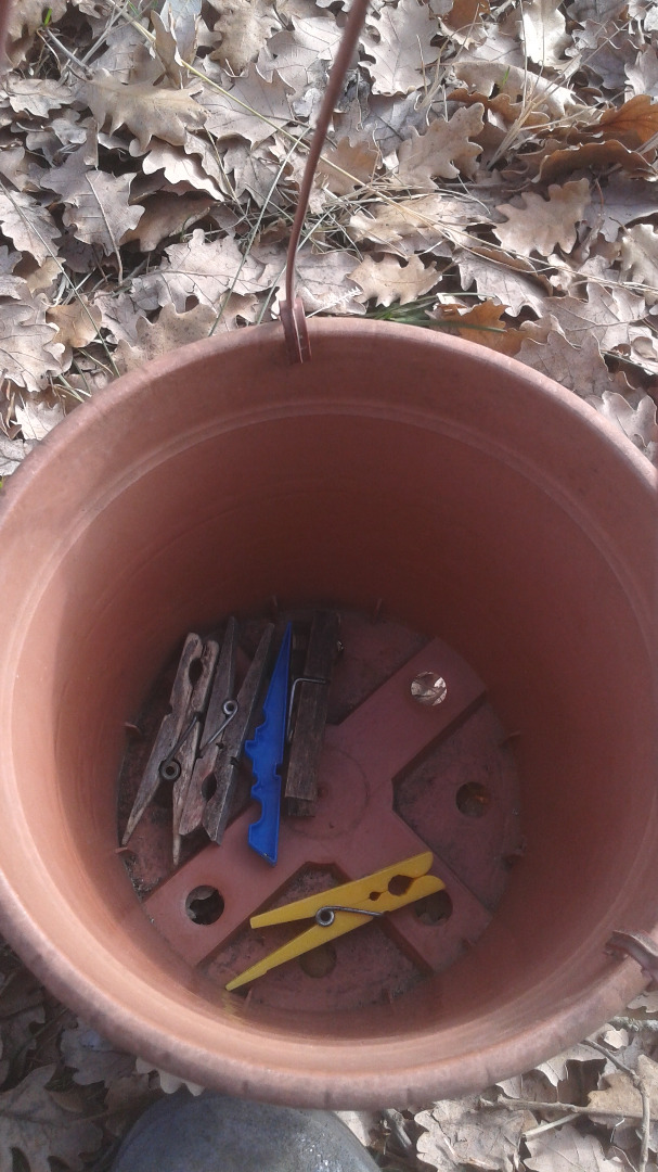 20160115_134933.jpg