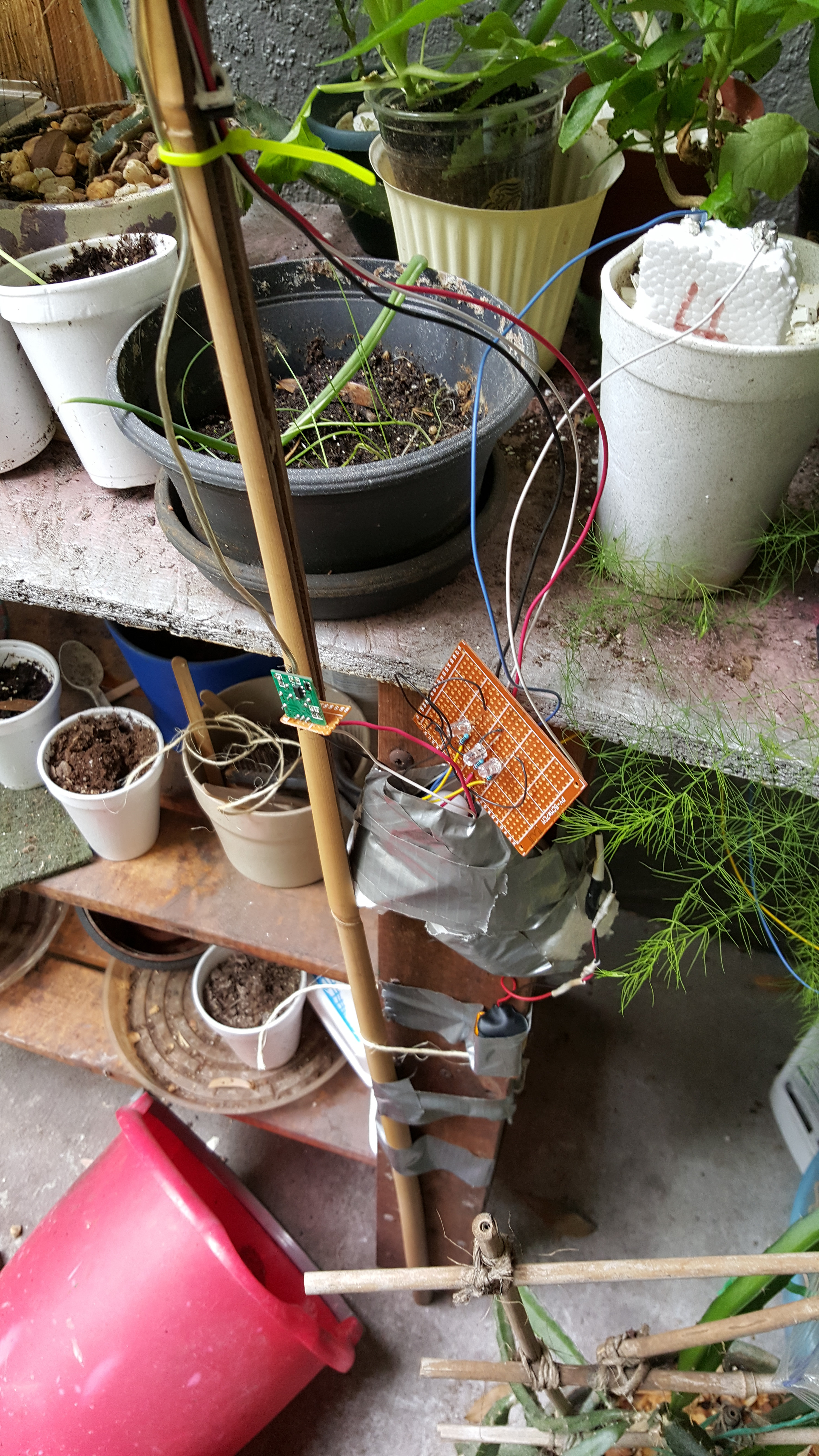 20160420_124142.jpg