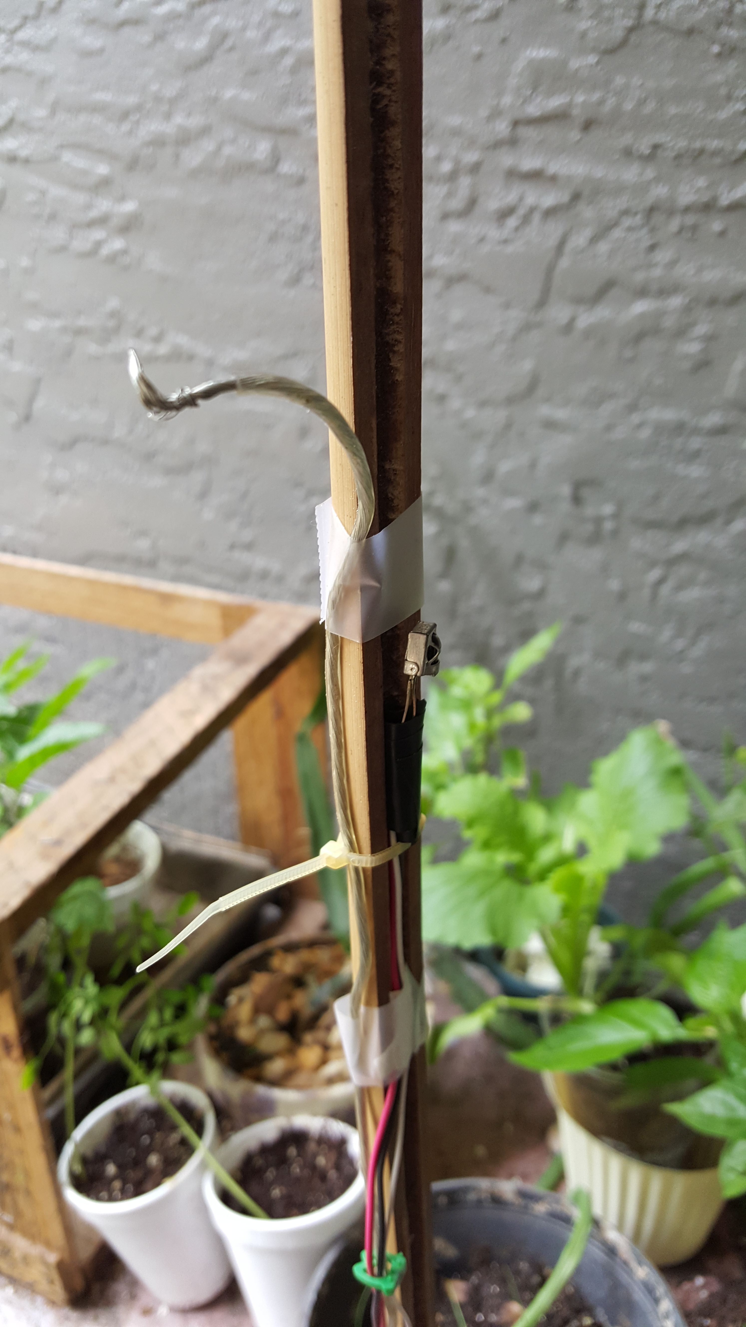 20160420_124146.jpg