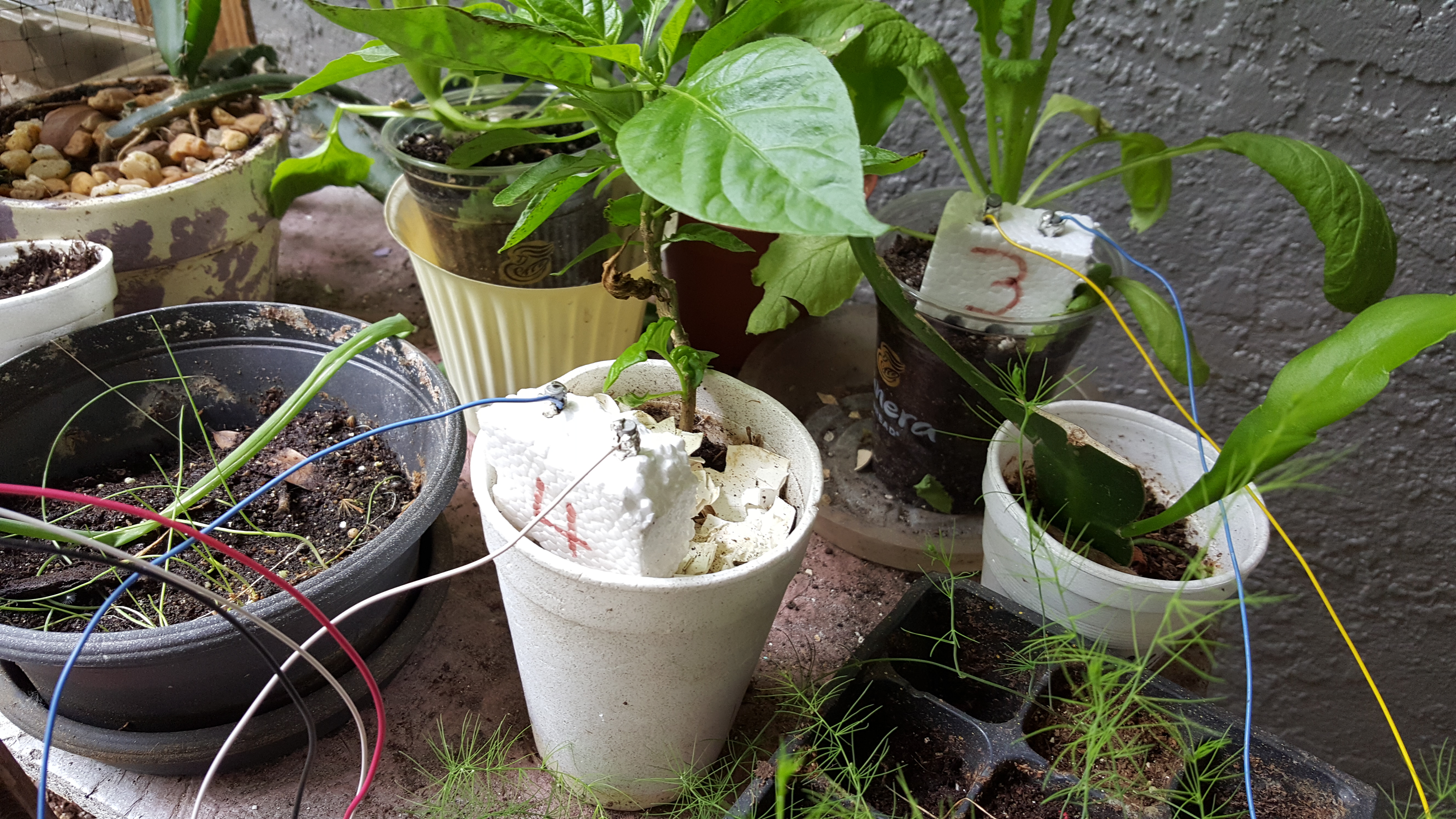 20160420_124154.jpg