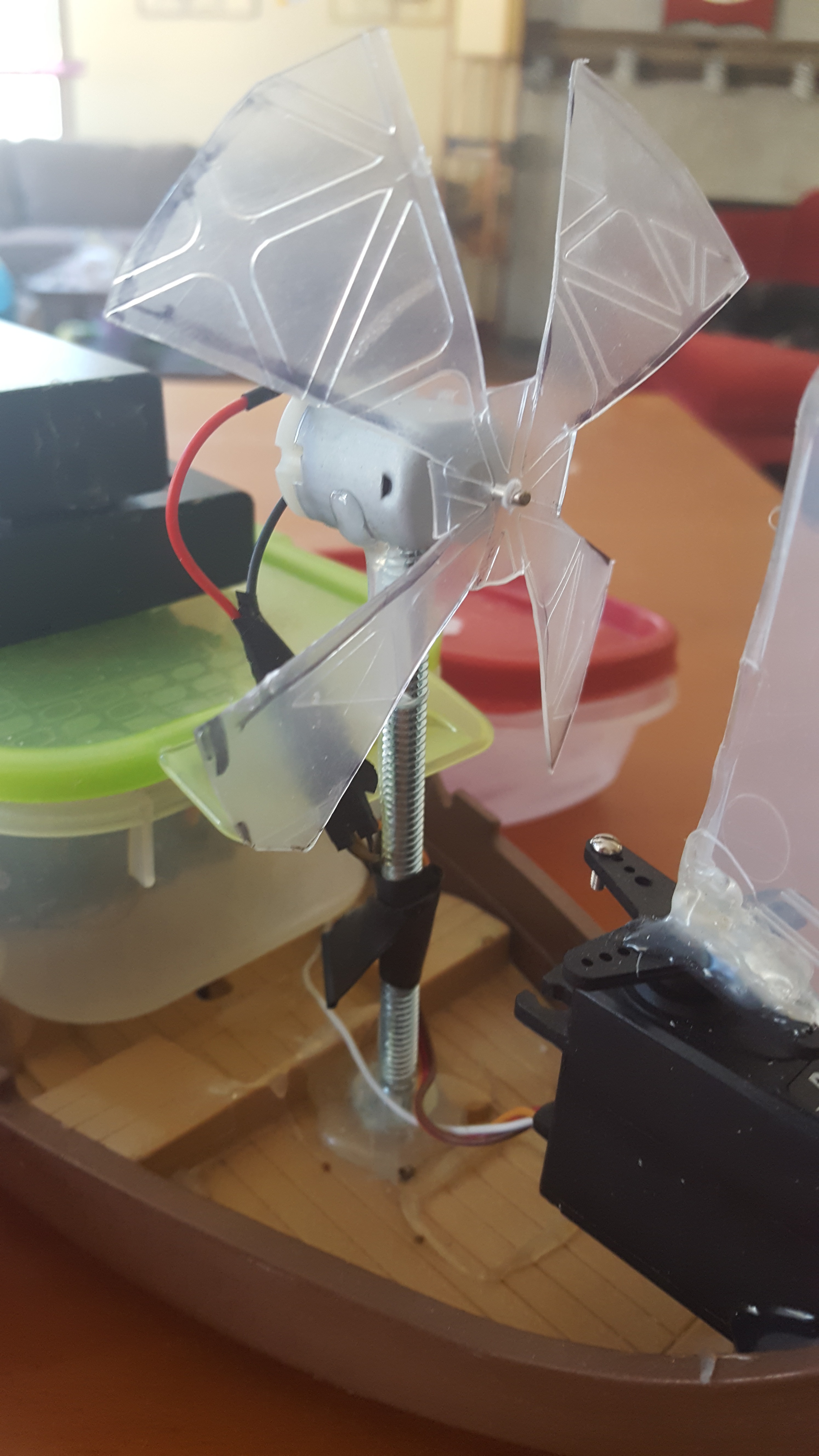 20160613_103713.jpg
