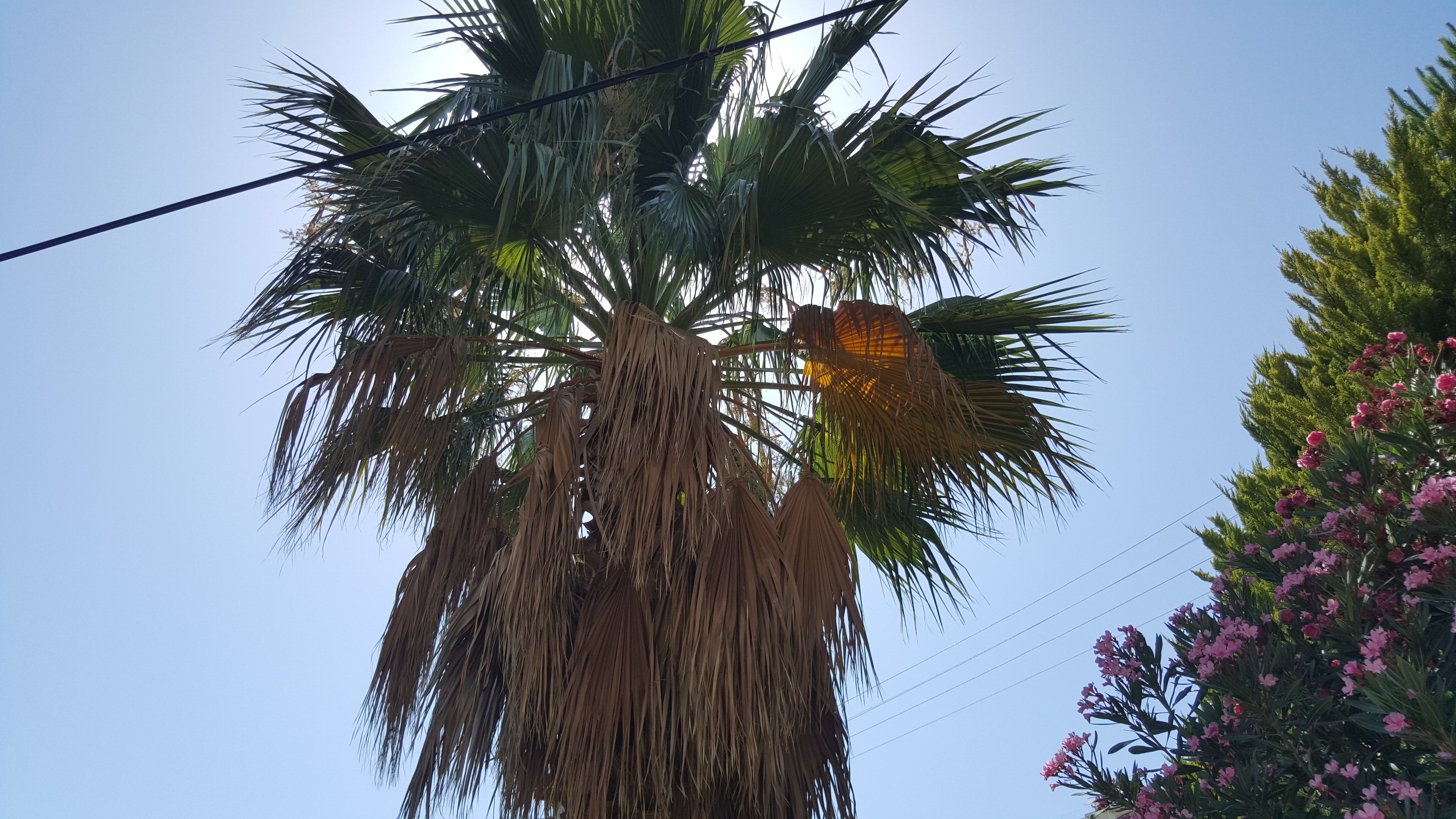 20160628_153855.jpg