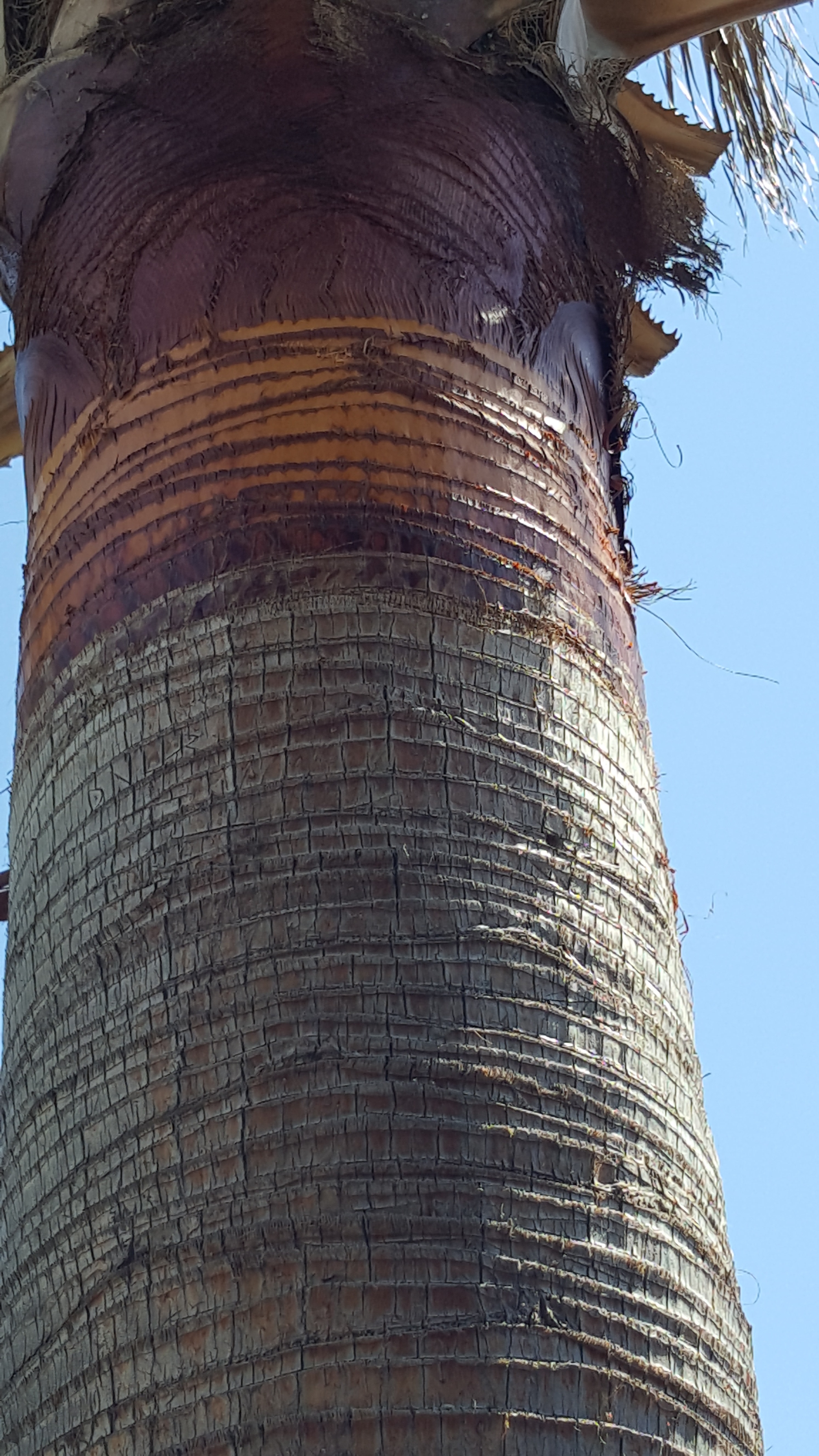 20160707_153017.jpg