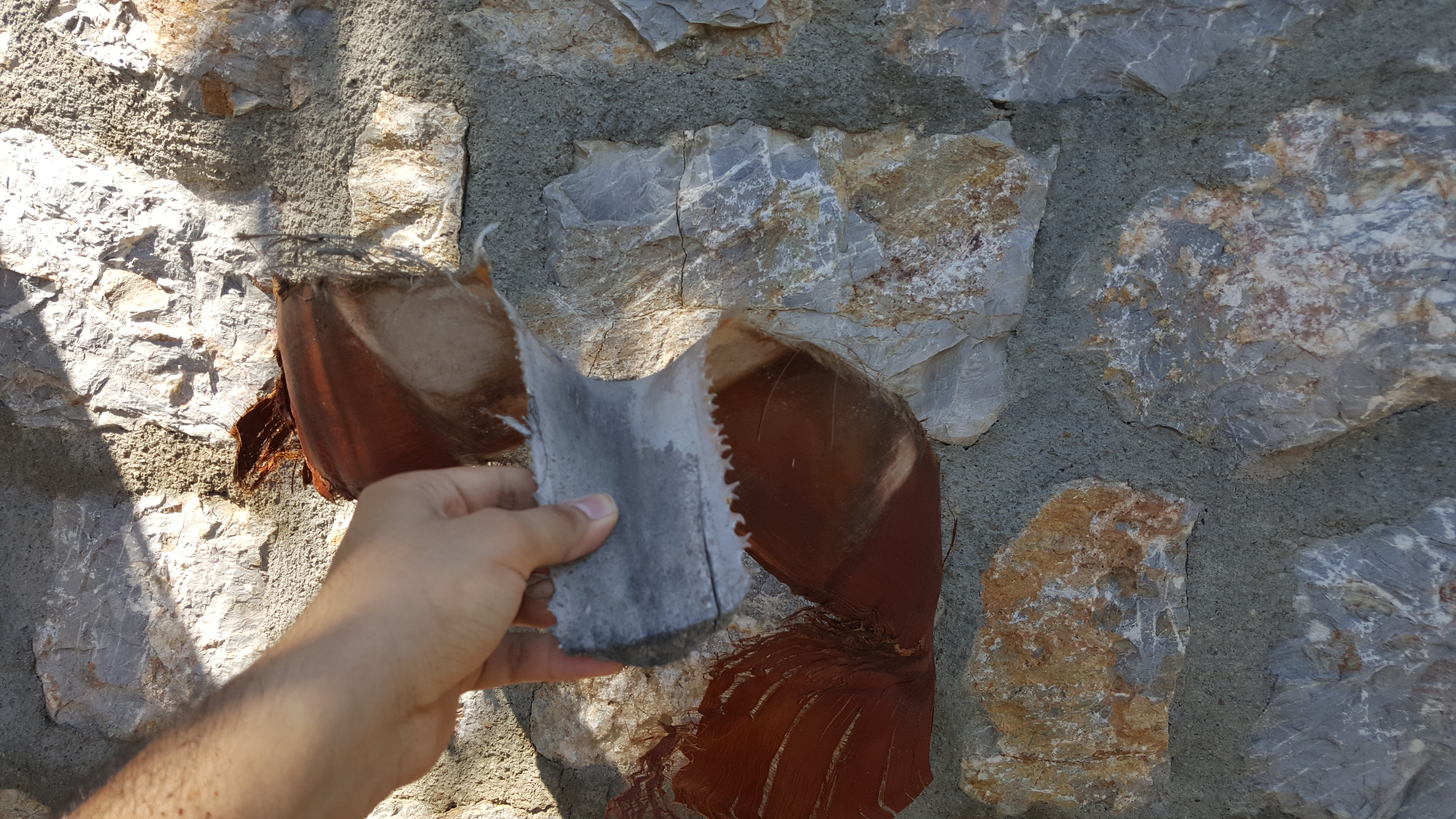 20160707_153127.jpg