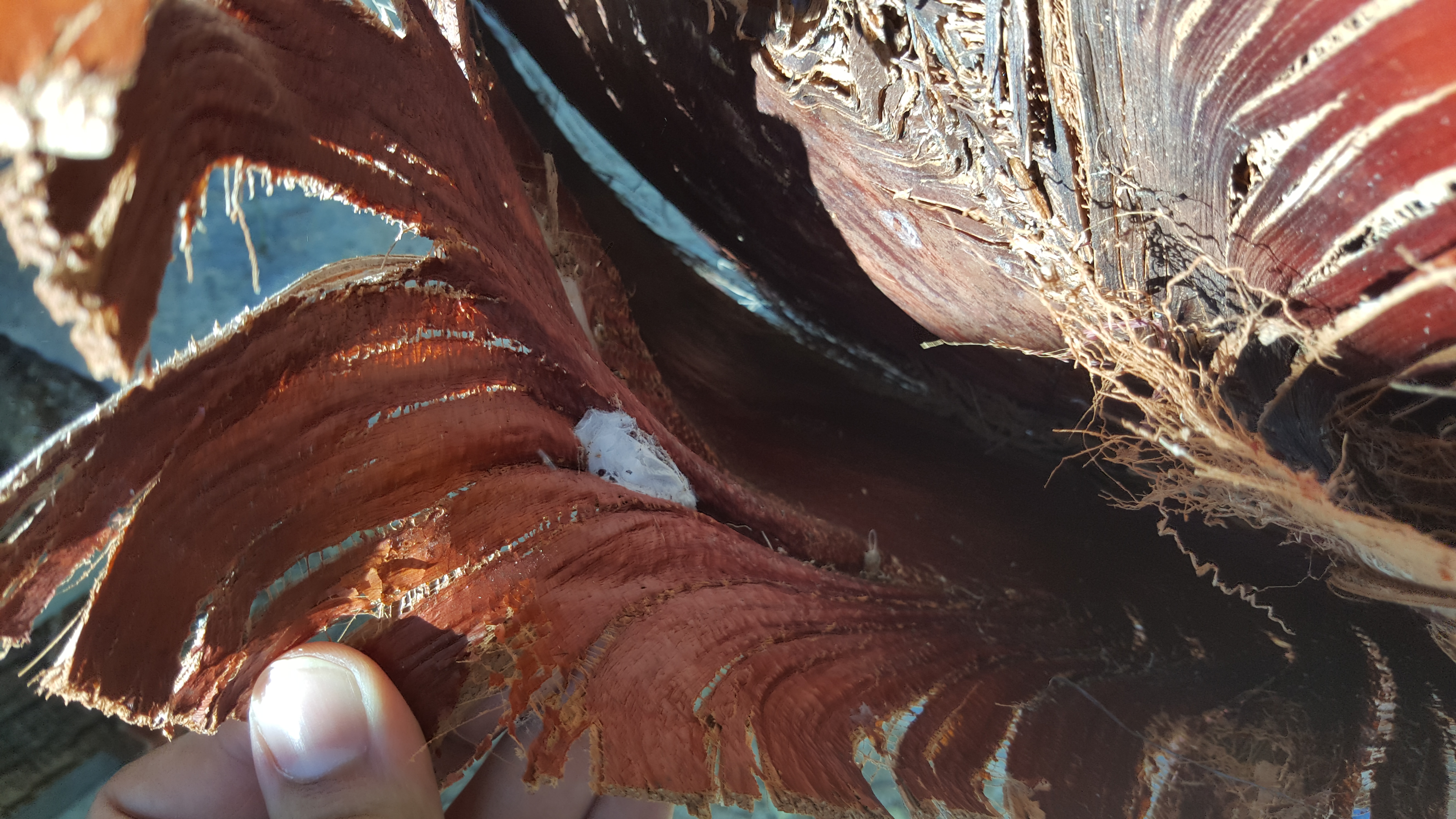 20160707_153150.jpg