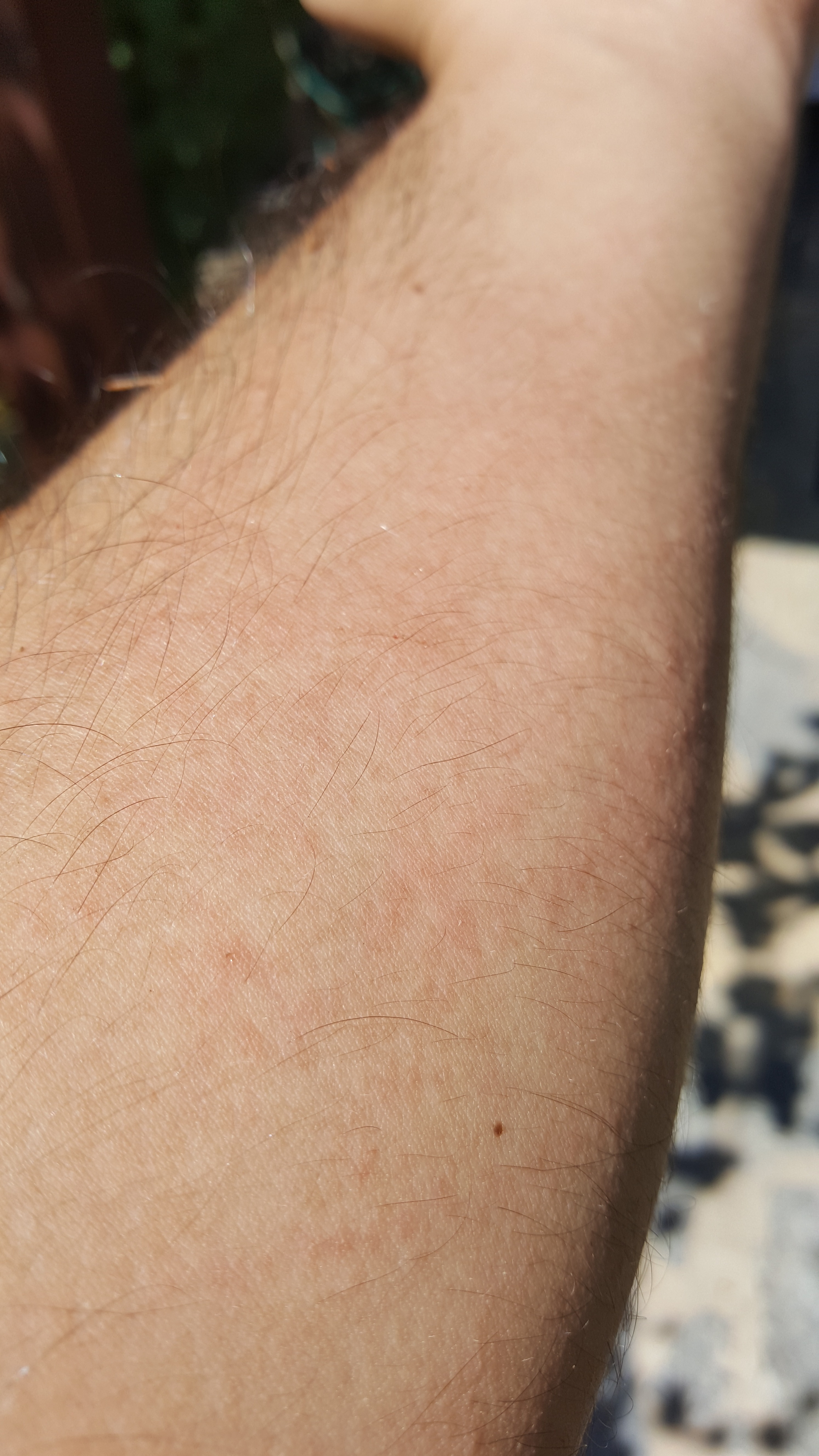 20160707_153434.jpg
