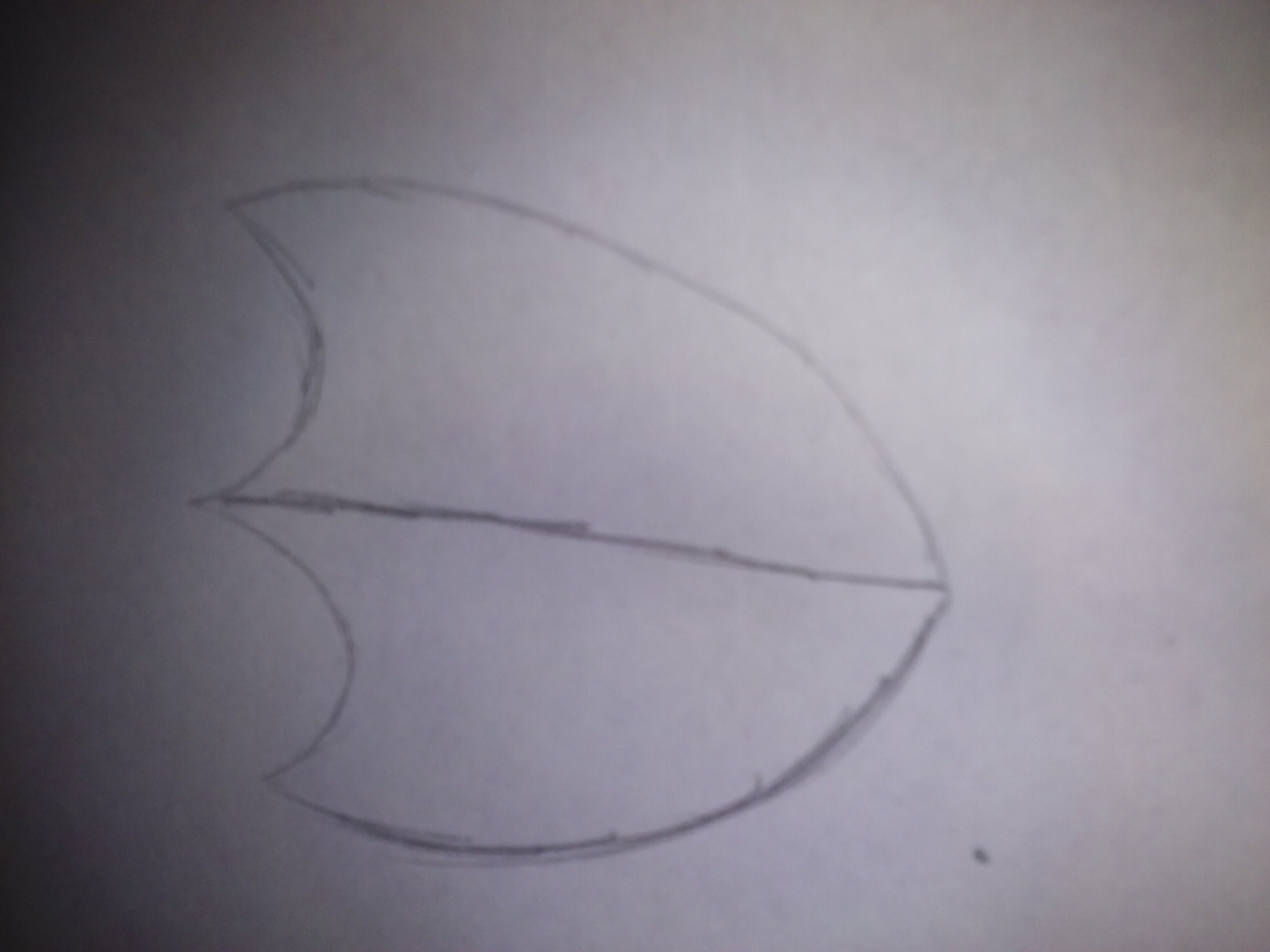 20160802_143902.jpg