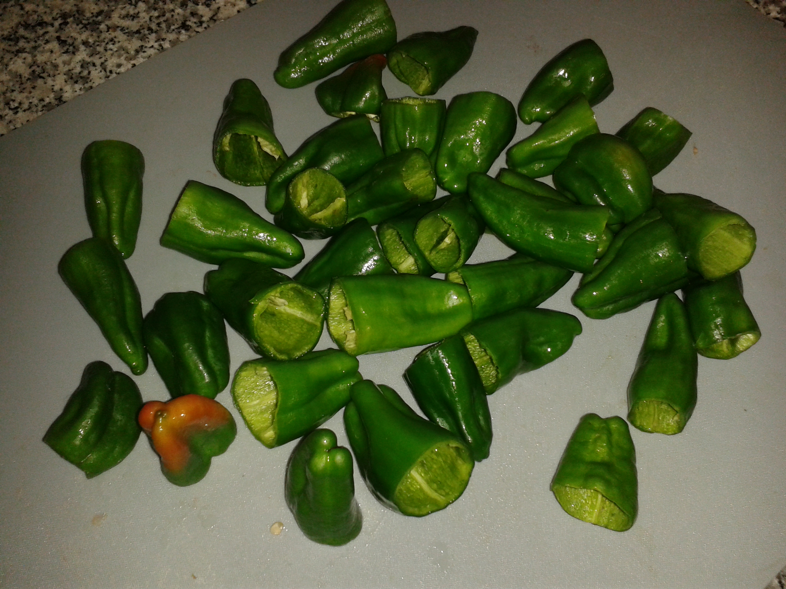 20160910_204442.jpg