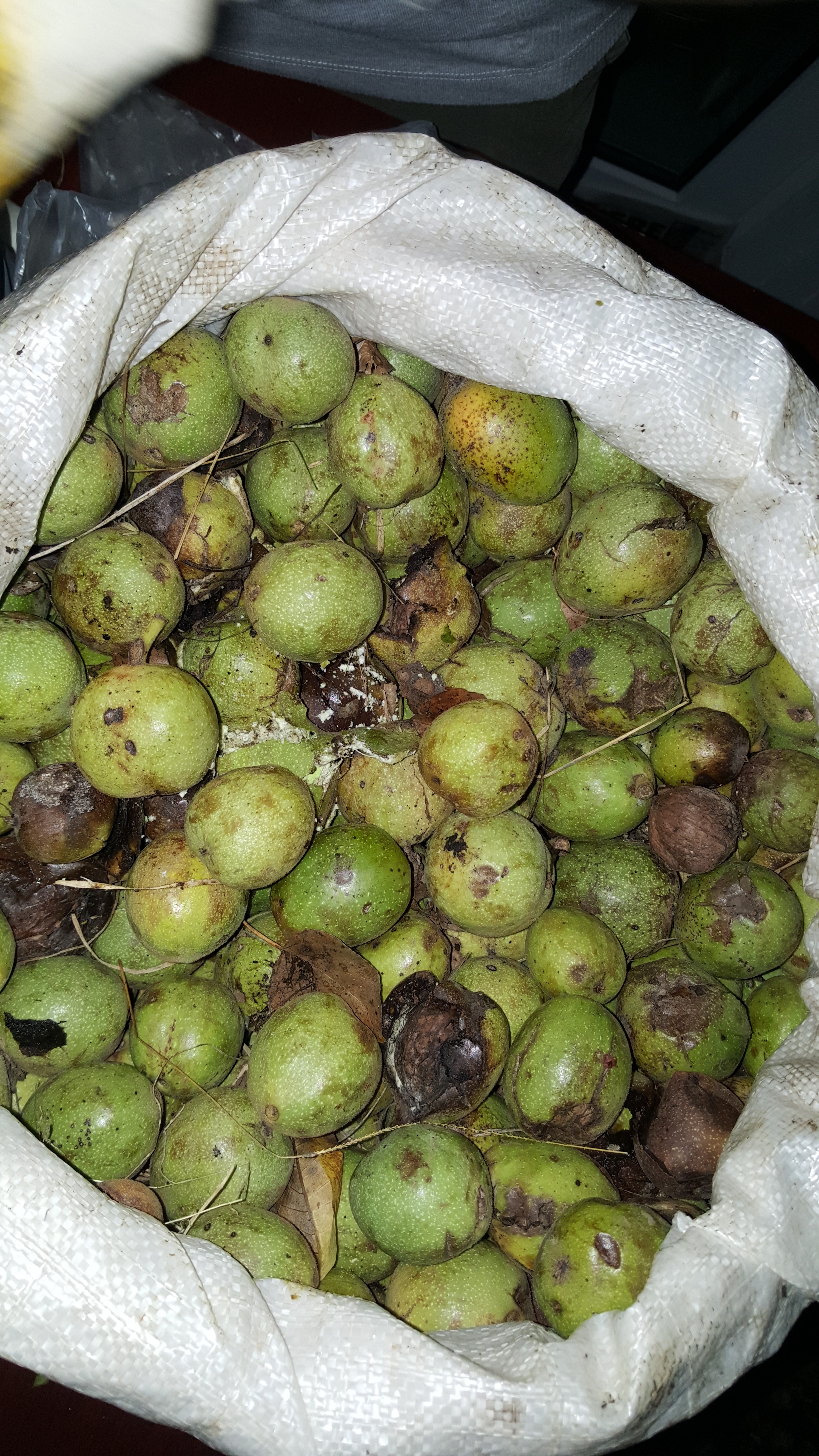 20160917_233033.jpg