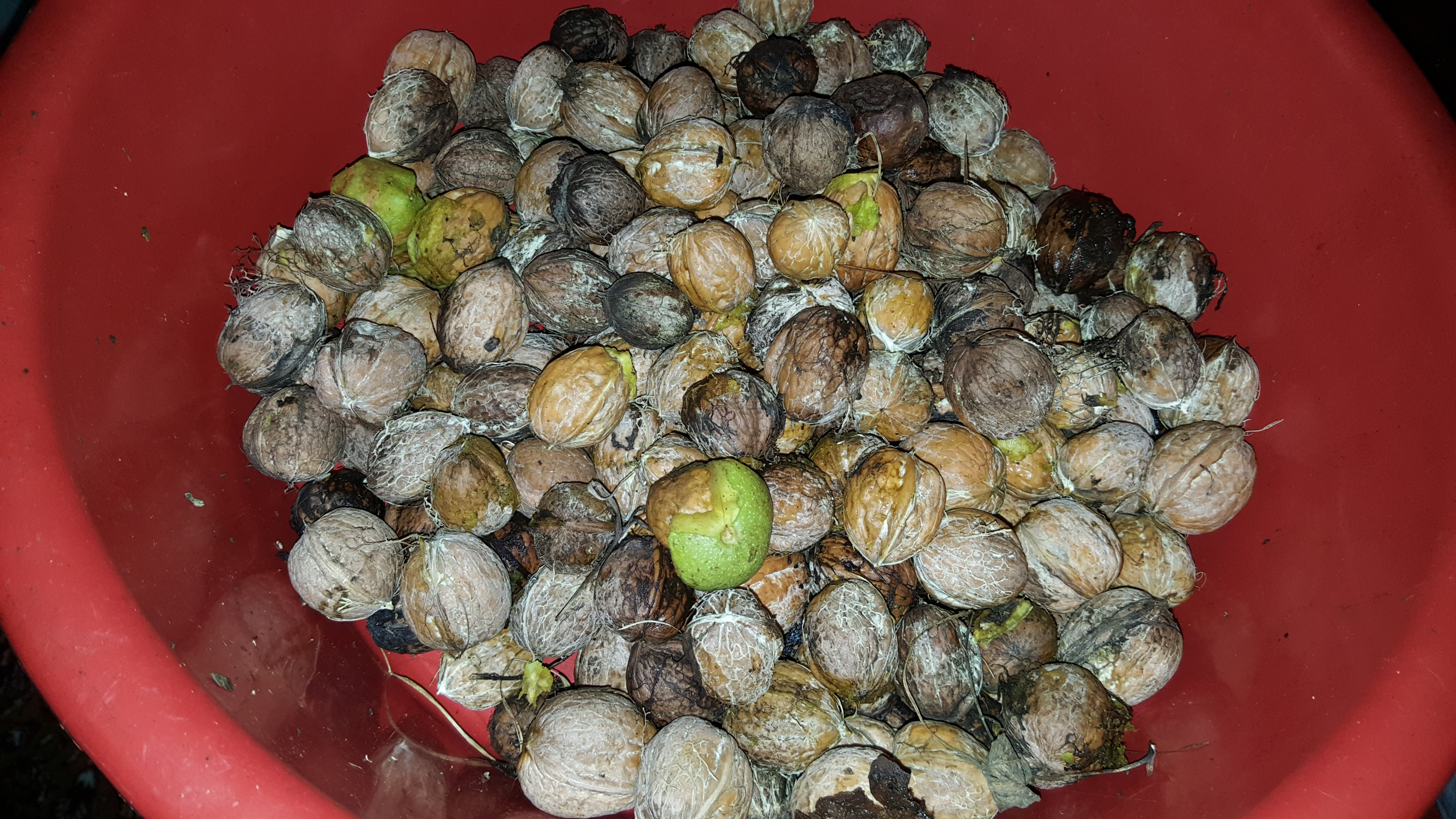 20160917_233045.jpg