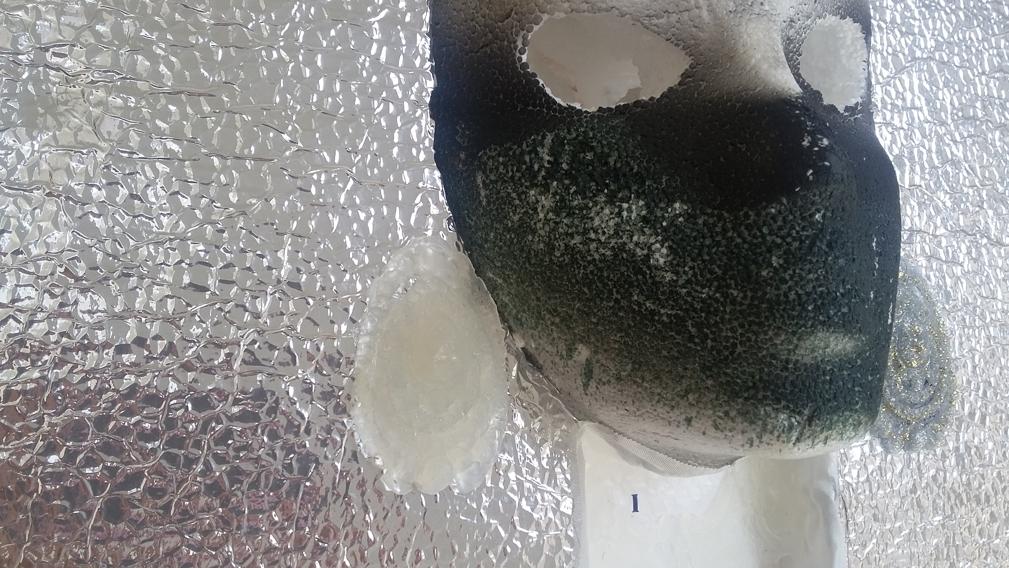 20160928_135859.jpg