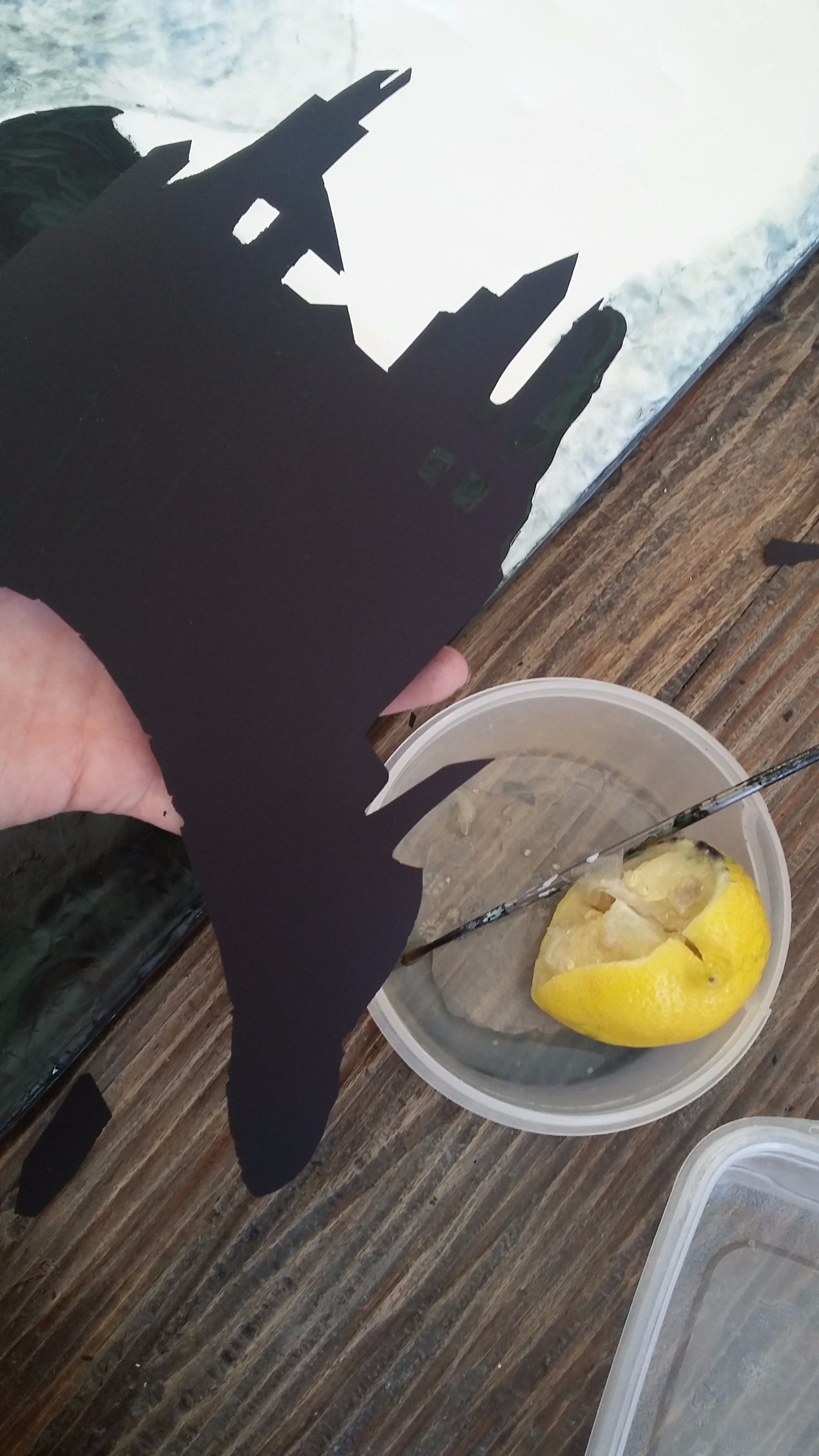 20161006_141240.jpg