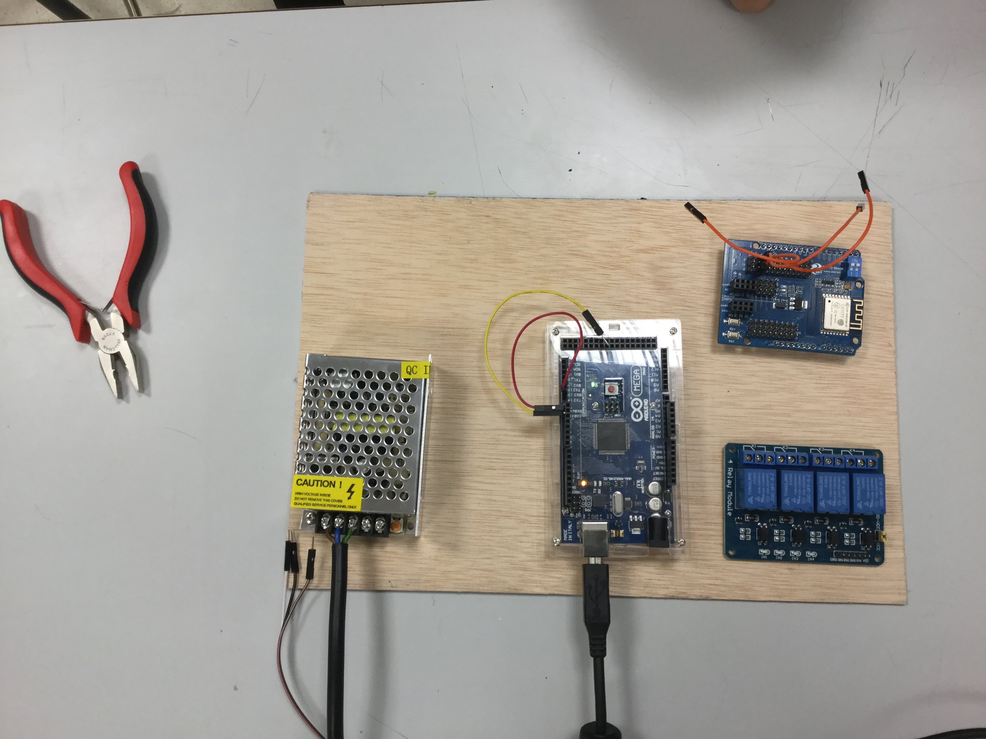 20170120 JdL Hidropónico 006.JPG