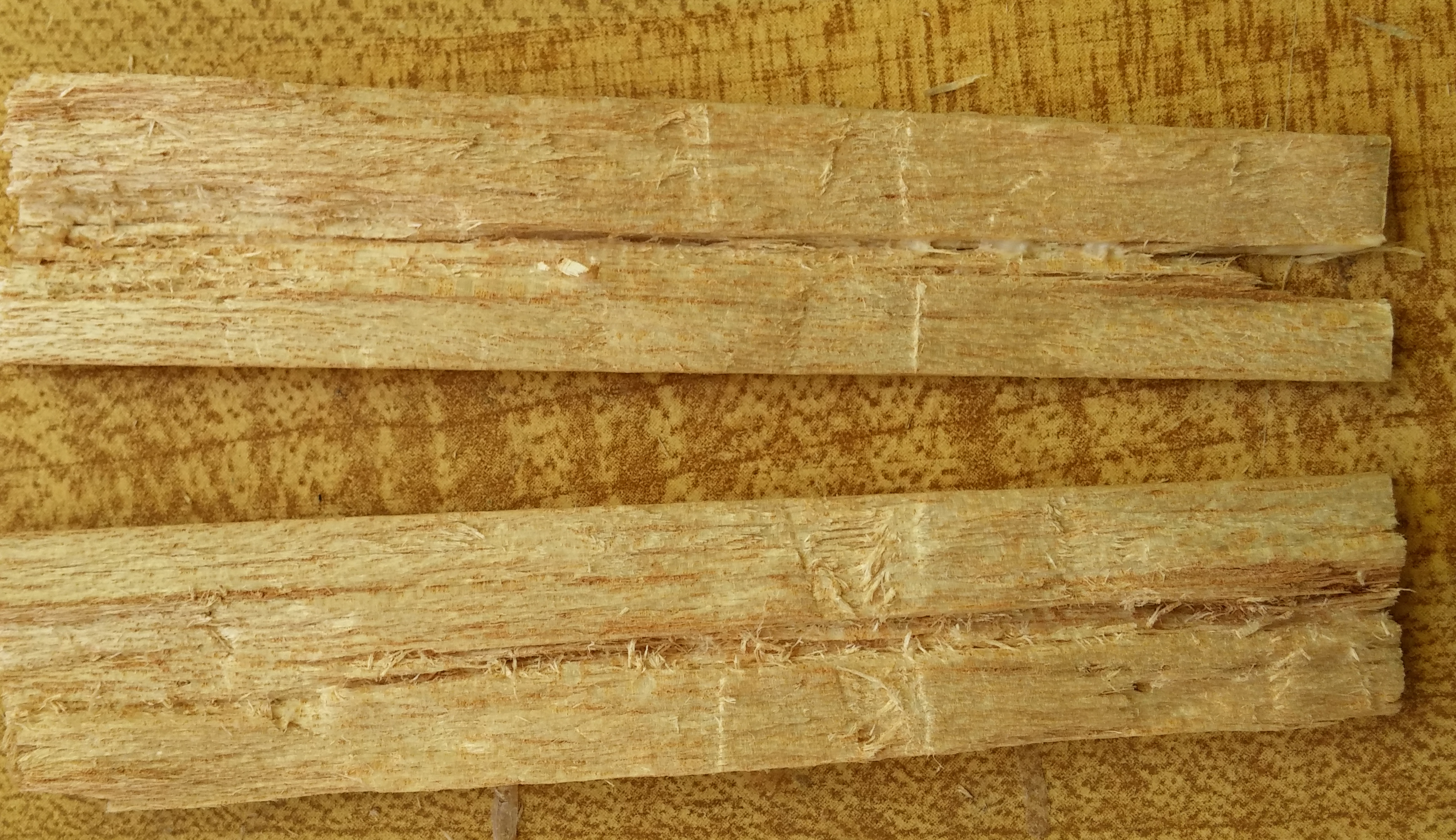 20170220_121608.jpg