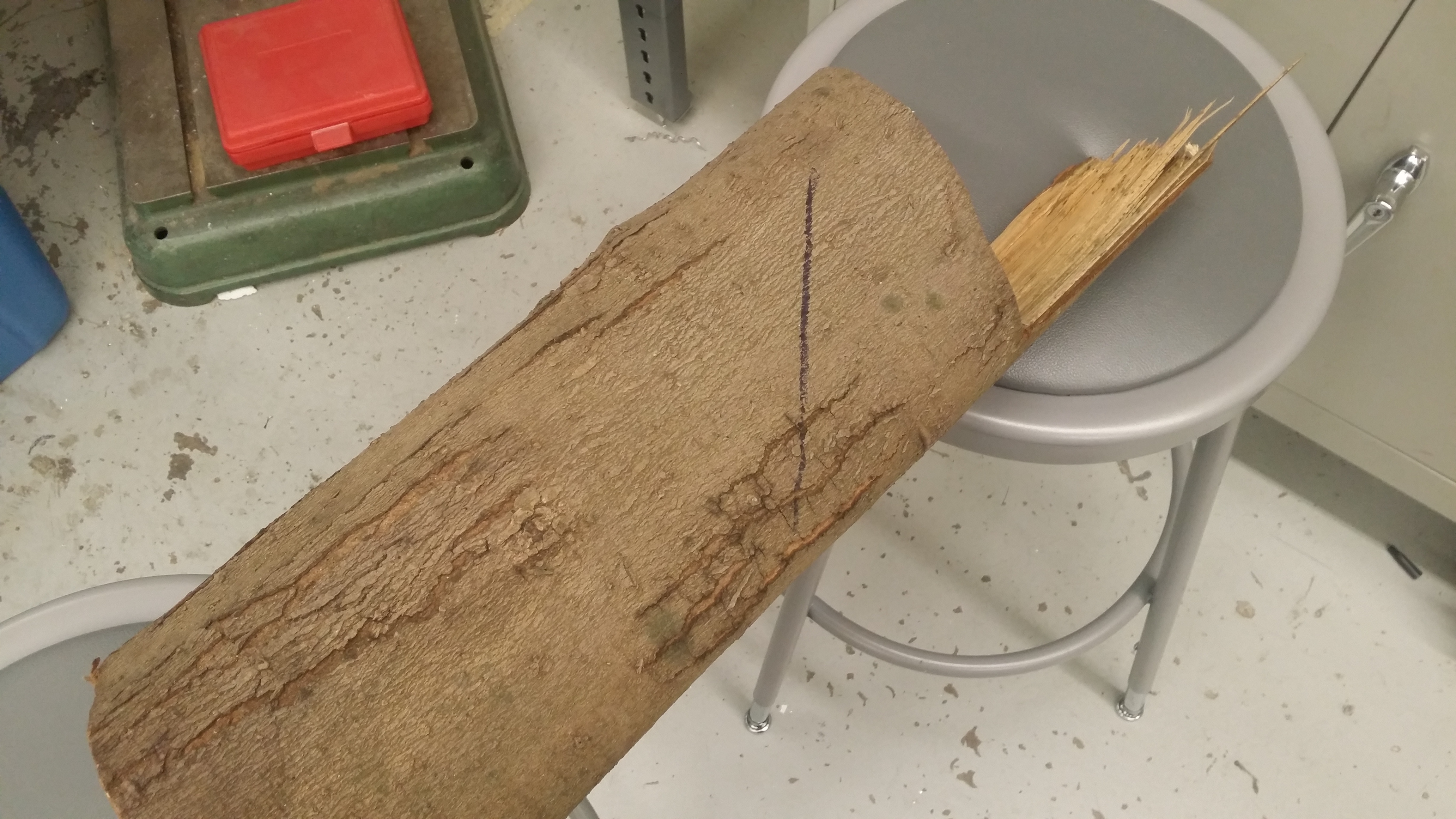 20170309_122717.jpg