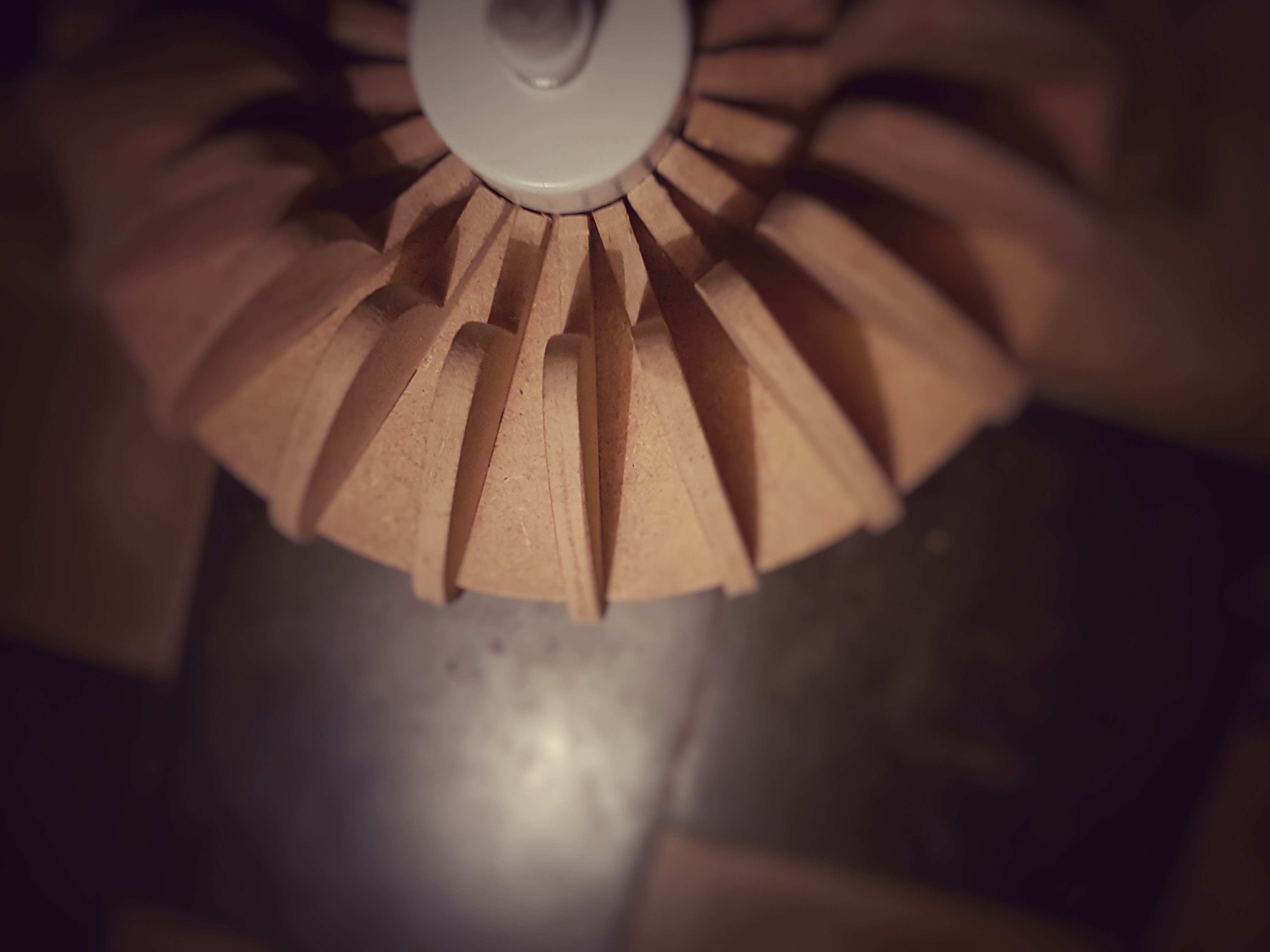 20170421_004508-01.jpg
