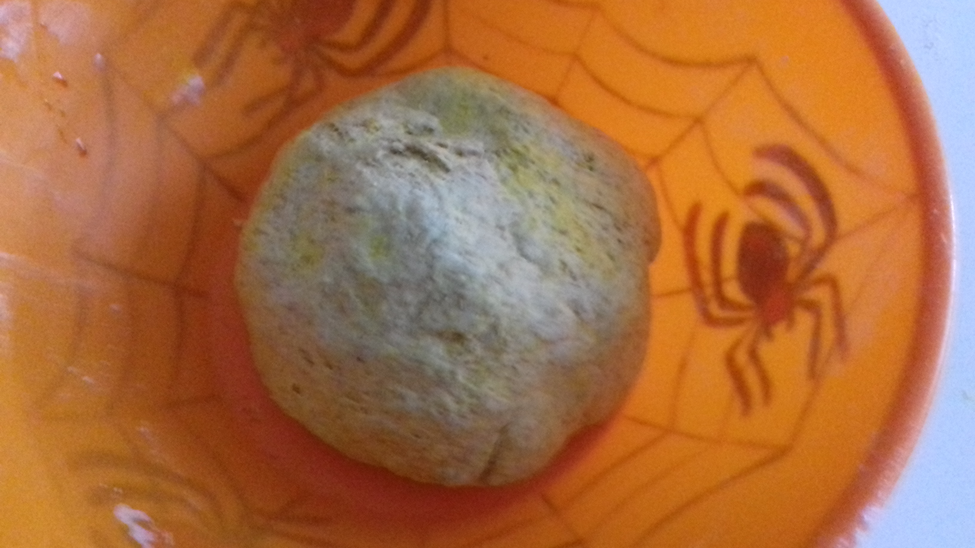 20171112_155525.jpg