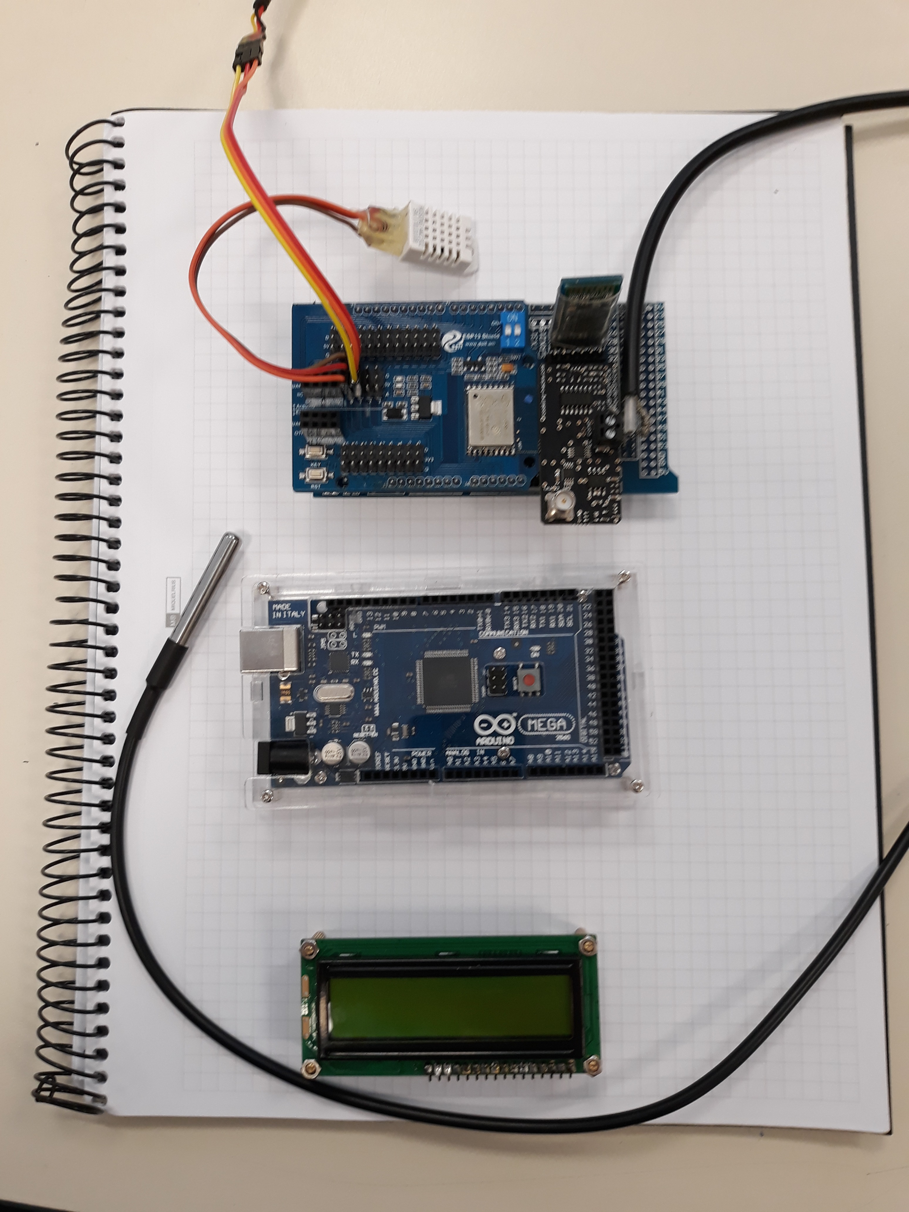 20180420 JdL Hidropónico 076.jpg