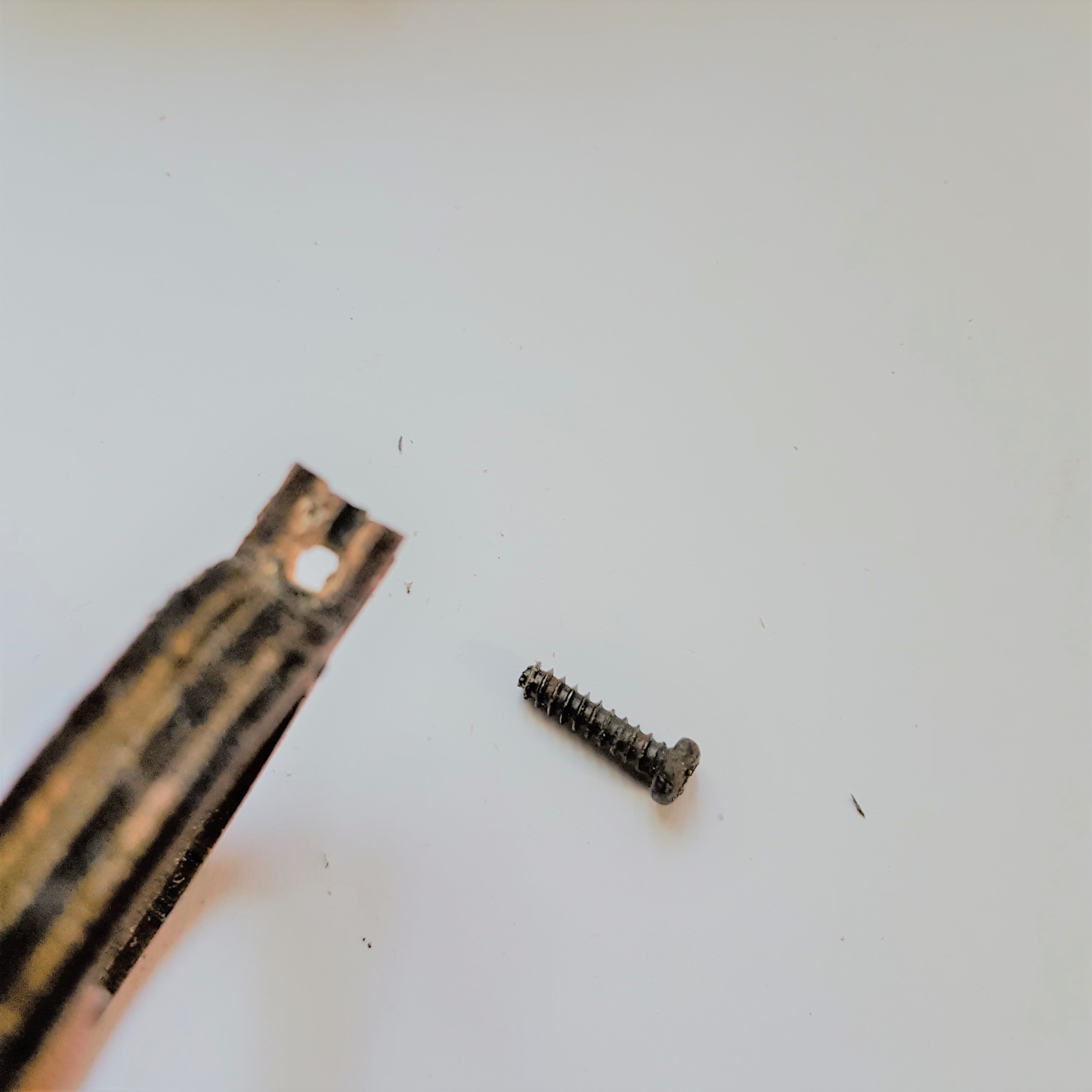 20180501_063407.jpg